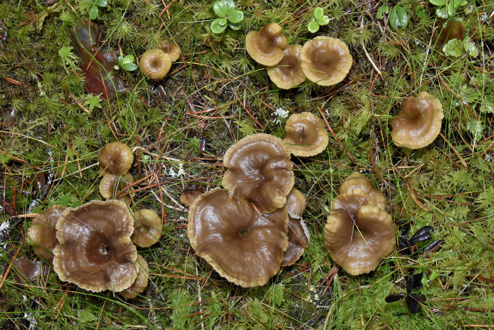 Valokuvaaja: Reijo Juurinen