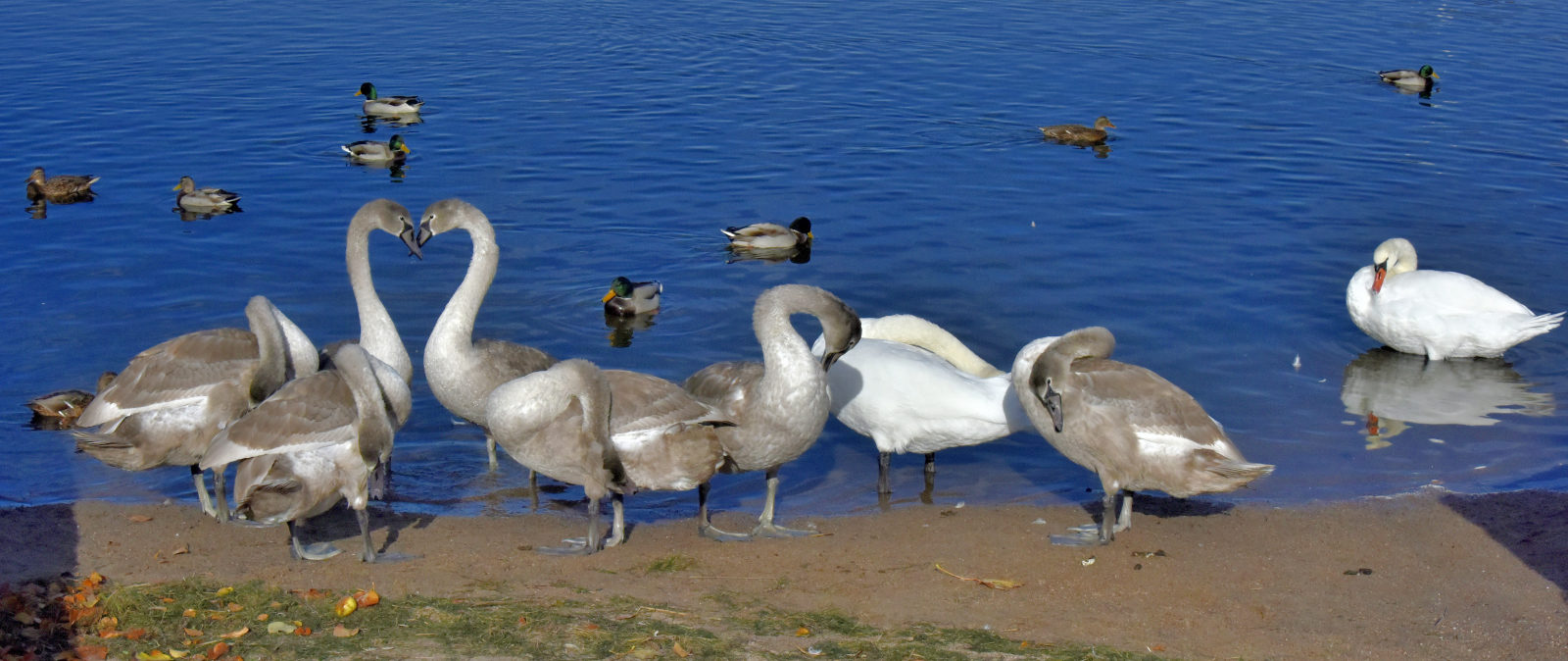 Valokuvaaja: Reijo Juurinen