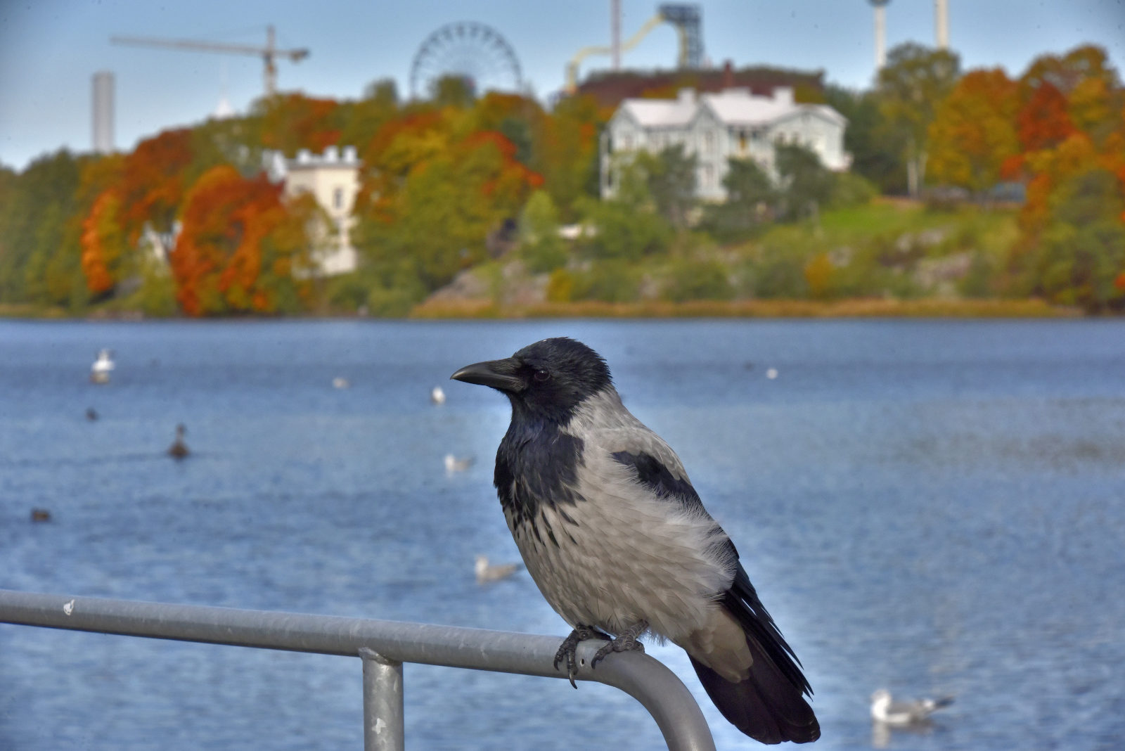 Valokuvaaja: Reijo Juurinen