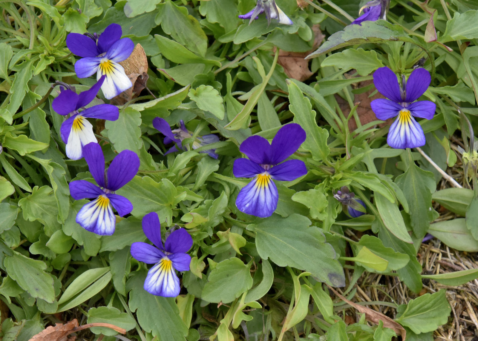 Valokuvaaja: Reijo Juurinen