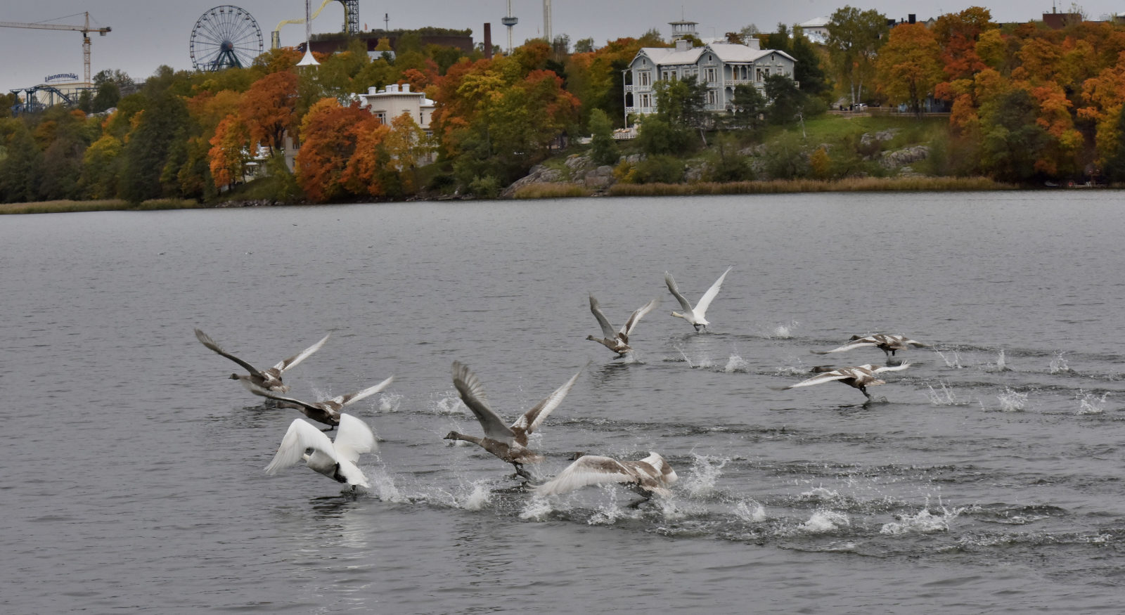 Valokuvaaja: Reijo Juurinen Valokuvaaja: Reijo Juurinen