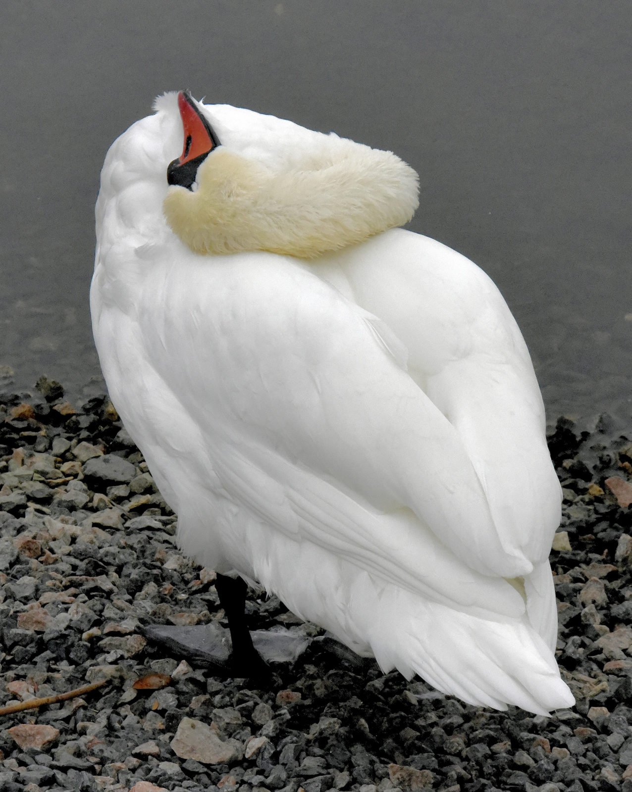 Valokuvaaja: Reijo Juurinen