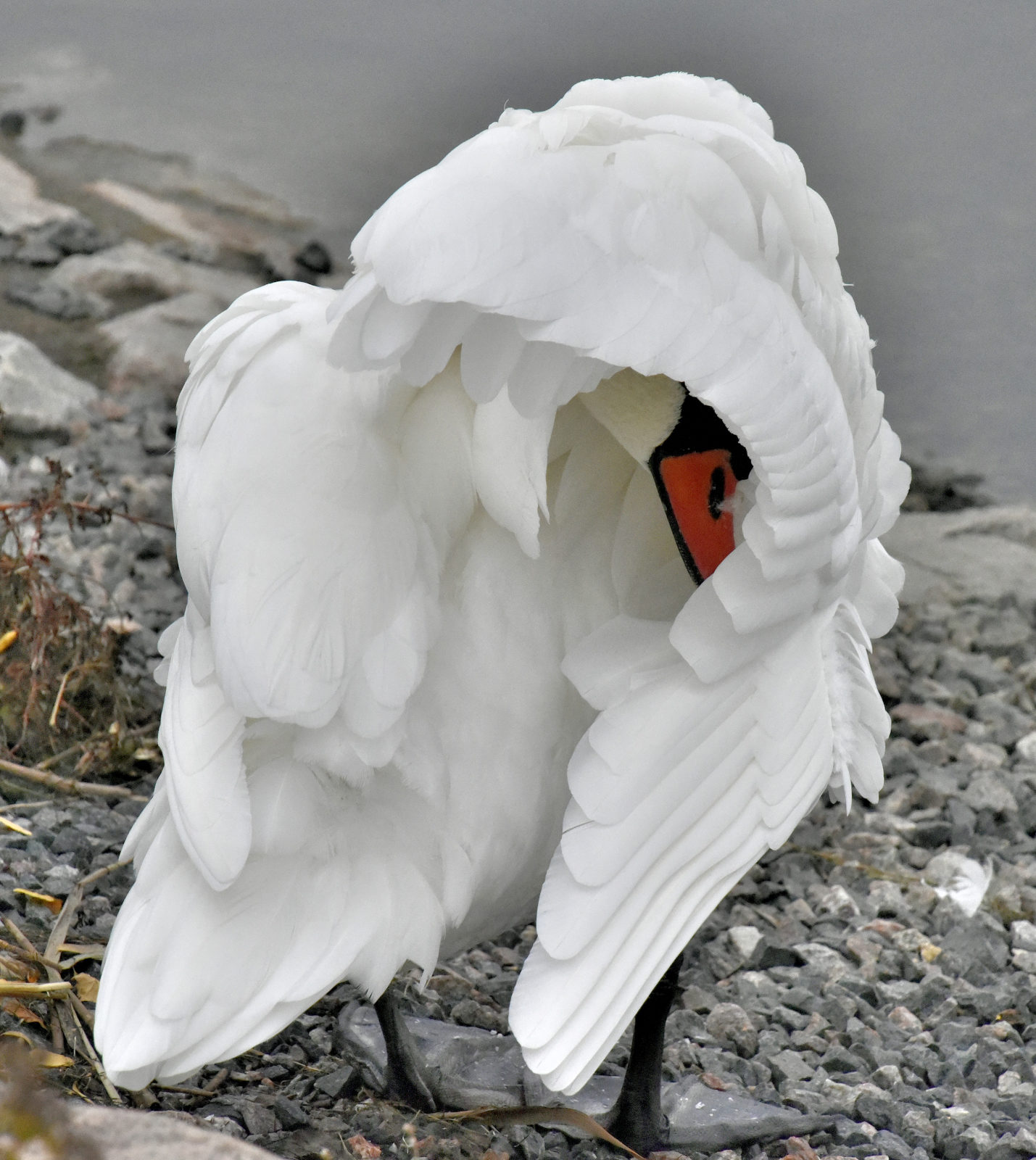 Valokuvaaja: Reijo Juurinen