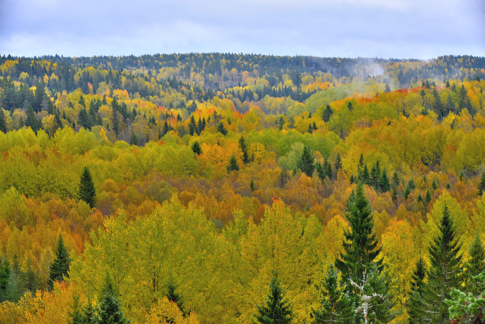 Valokuvaaja: Reijo Juurinen
