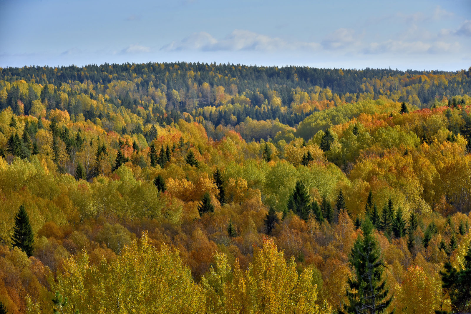 Valokuvaaja: Reijo Juurinen