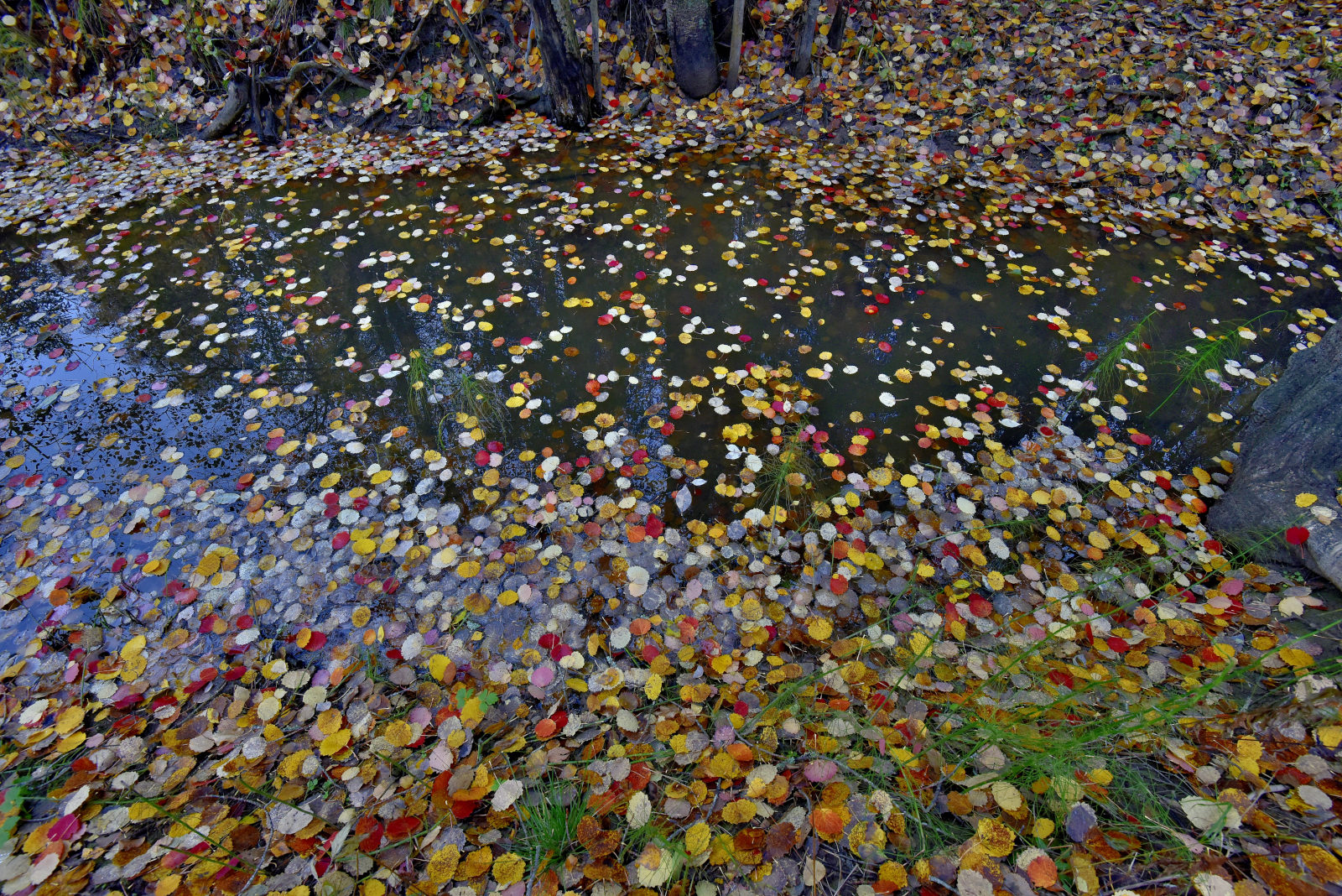 Valokuvaaja: Reijo Juurinen