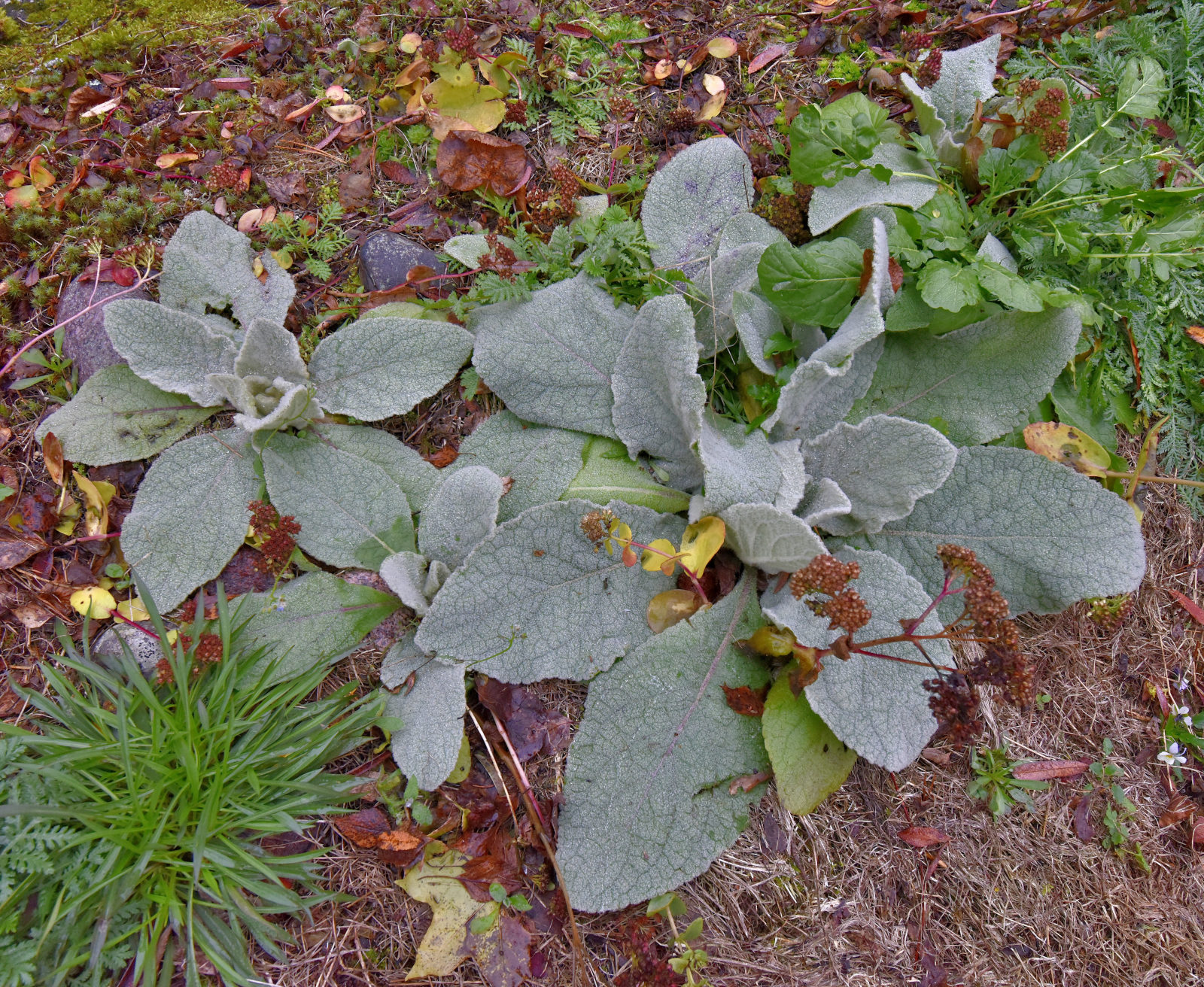 Valokuvaaja: Reijo Juurinen