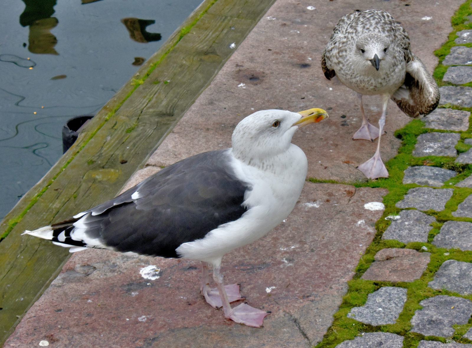 Valokuvaaja: Reijo Juurinen