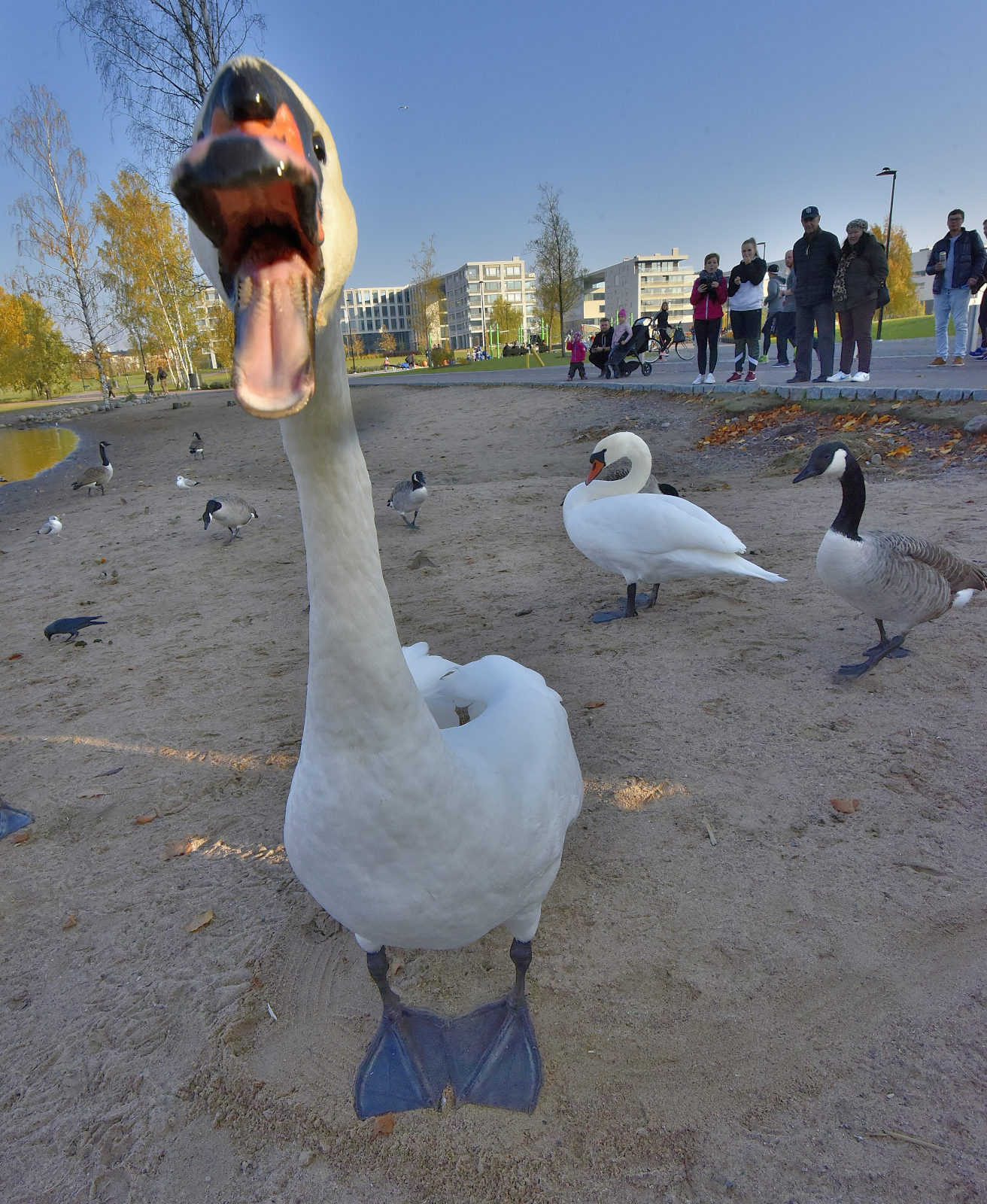 Valokuvaaja: Reijo Juurinen
