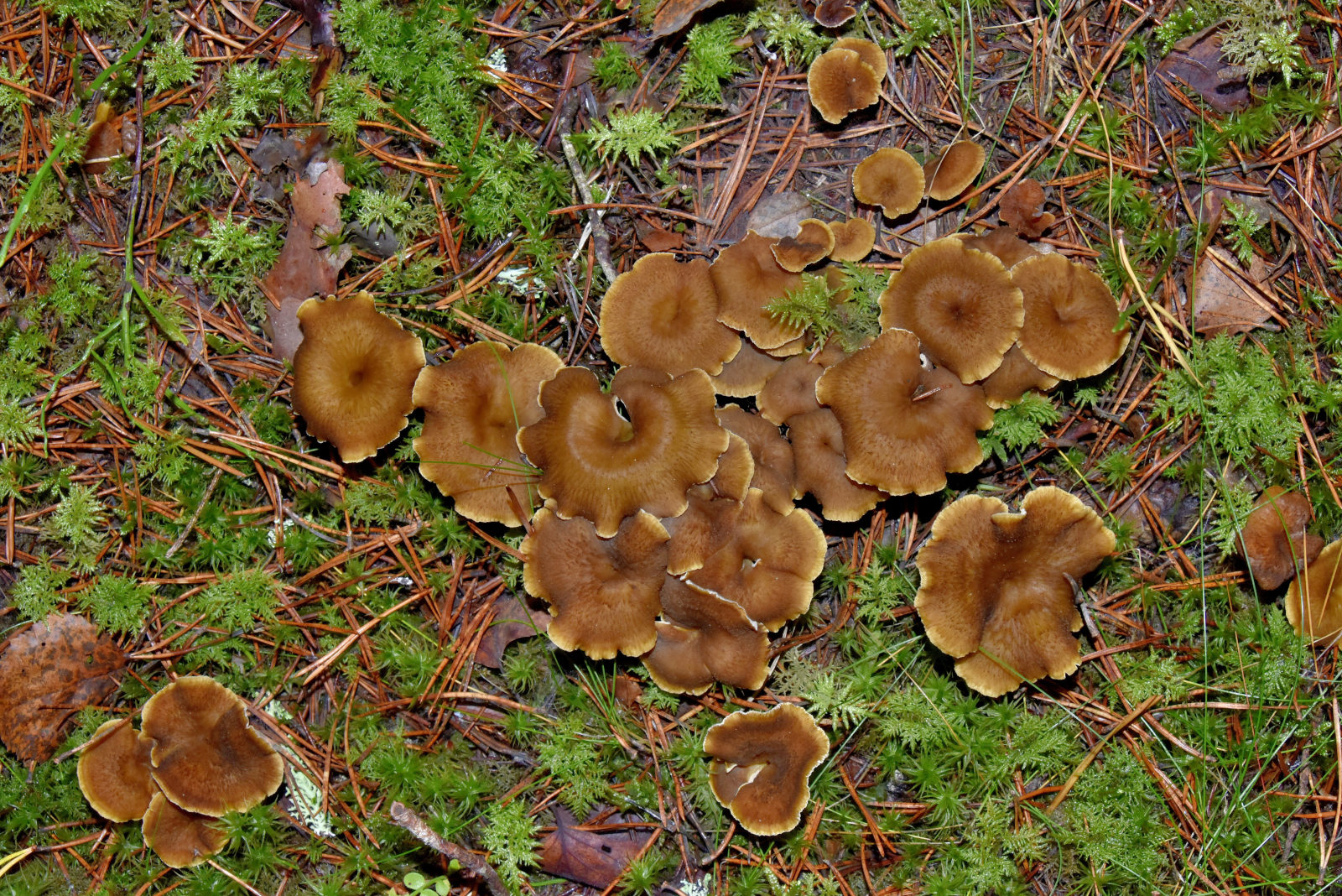 Valokuvaaja: Reijo Juurinen