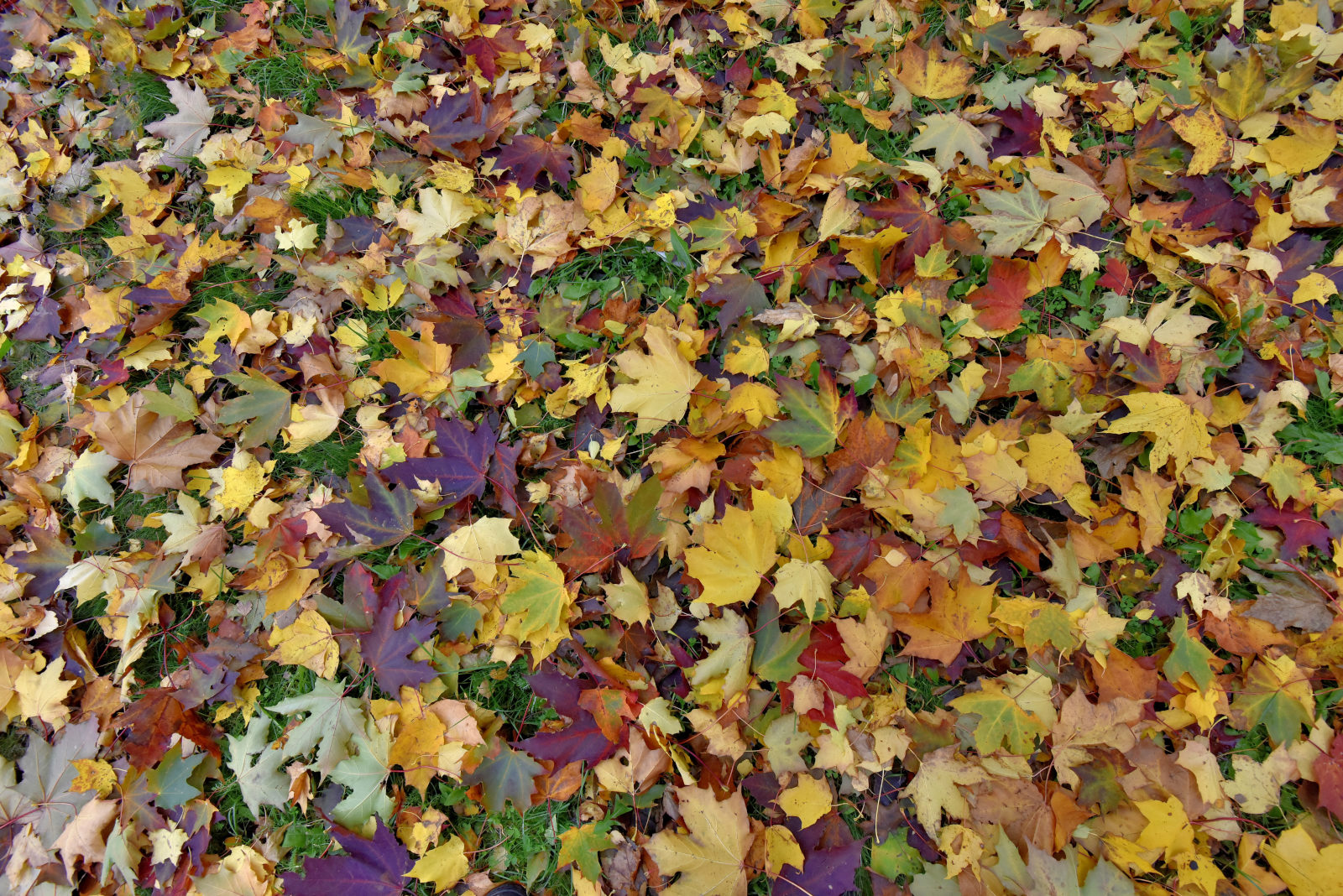 Valokuvaaja: Reijo Juurinen