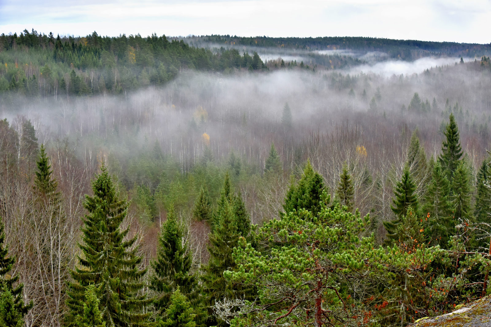 Valokuvaaja: Reijo Juurinen