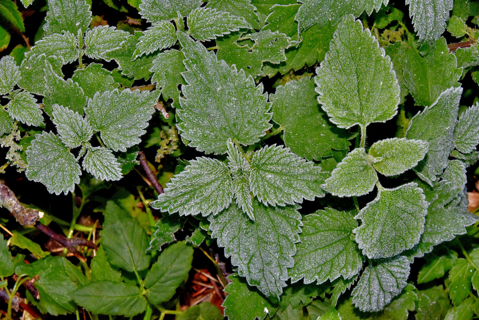 Valokuvaaja: Reijo Juurinen