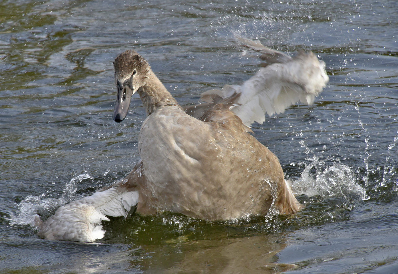 Valokuvaaja: Reijo Juurinen
