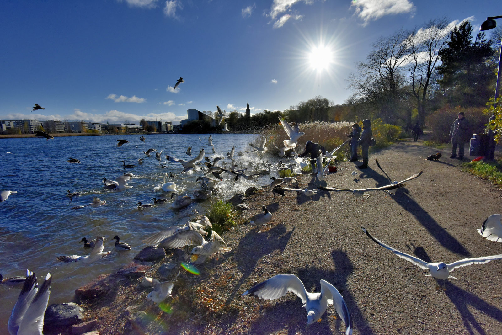 Valokuvaaja: Reijo Juurinen