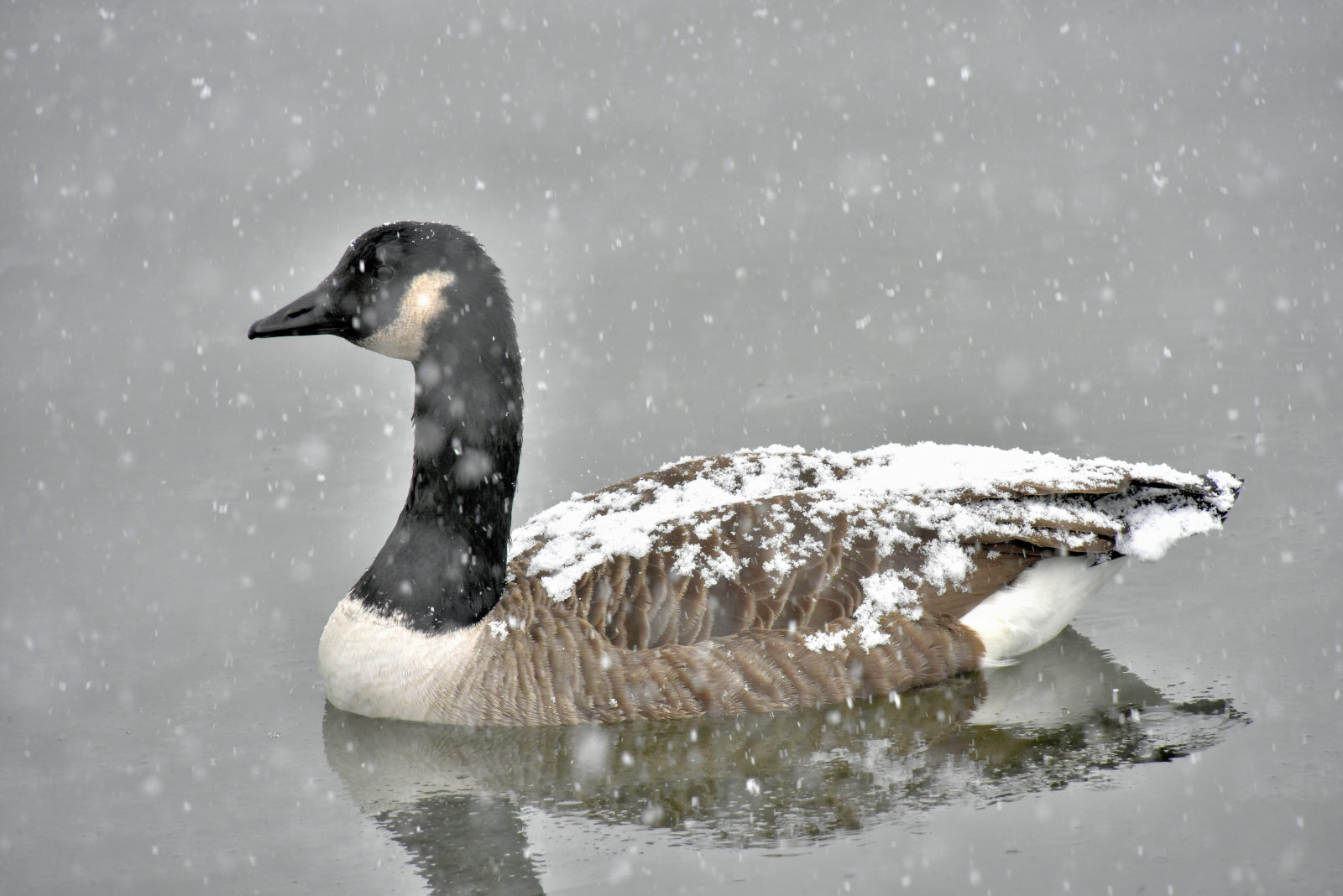 Valokuvaaja: Reijo Juurinen