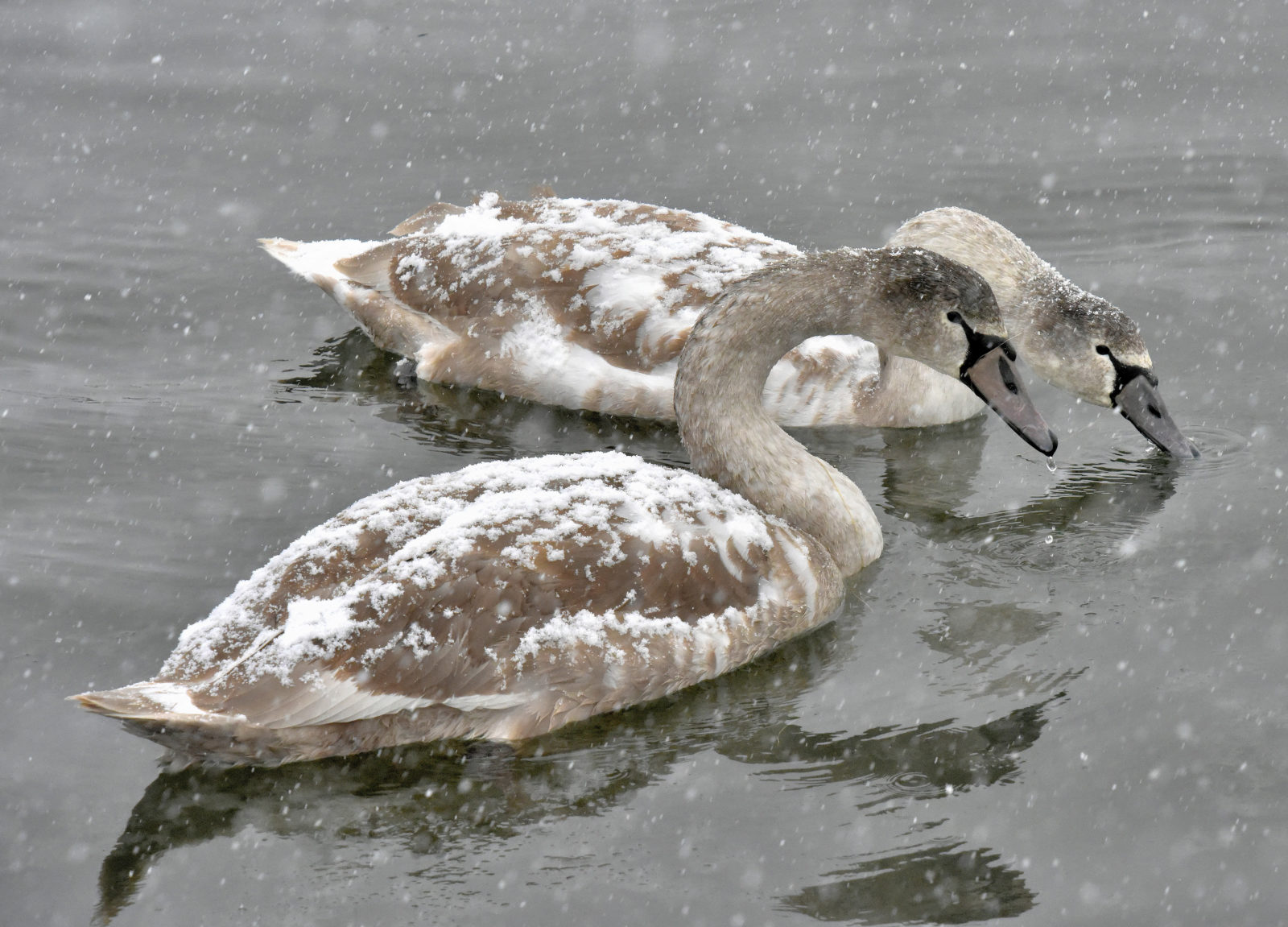 Valokuvaaja: Reijo Juurinen