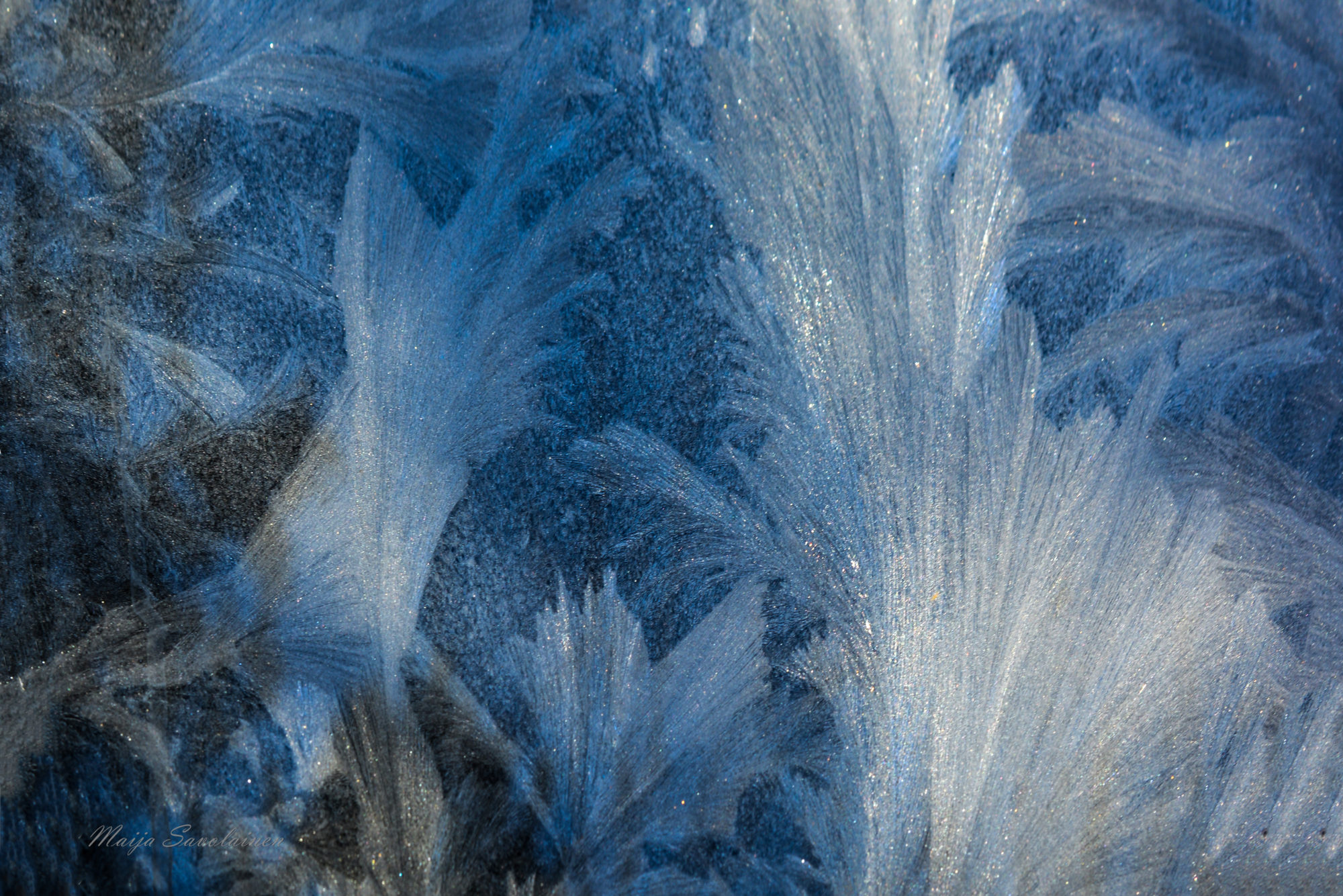 Valokuvaaja: Maija Savolainen