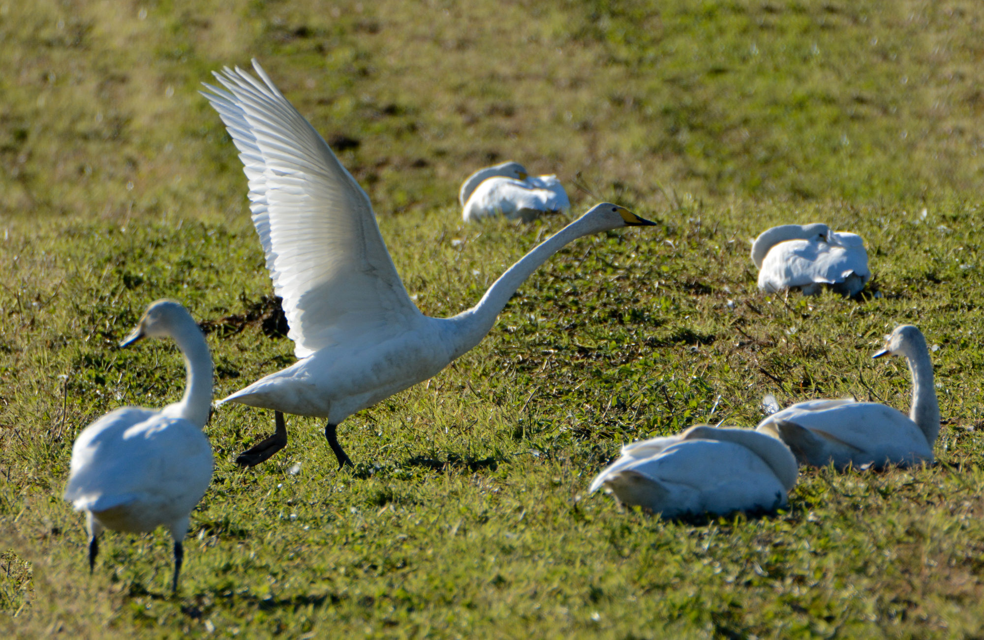 Valokuvaaja: Maija Savolainen