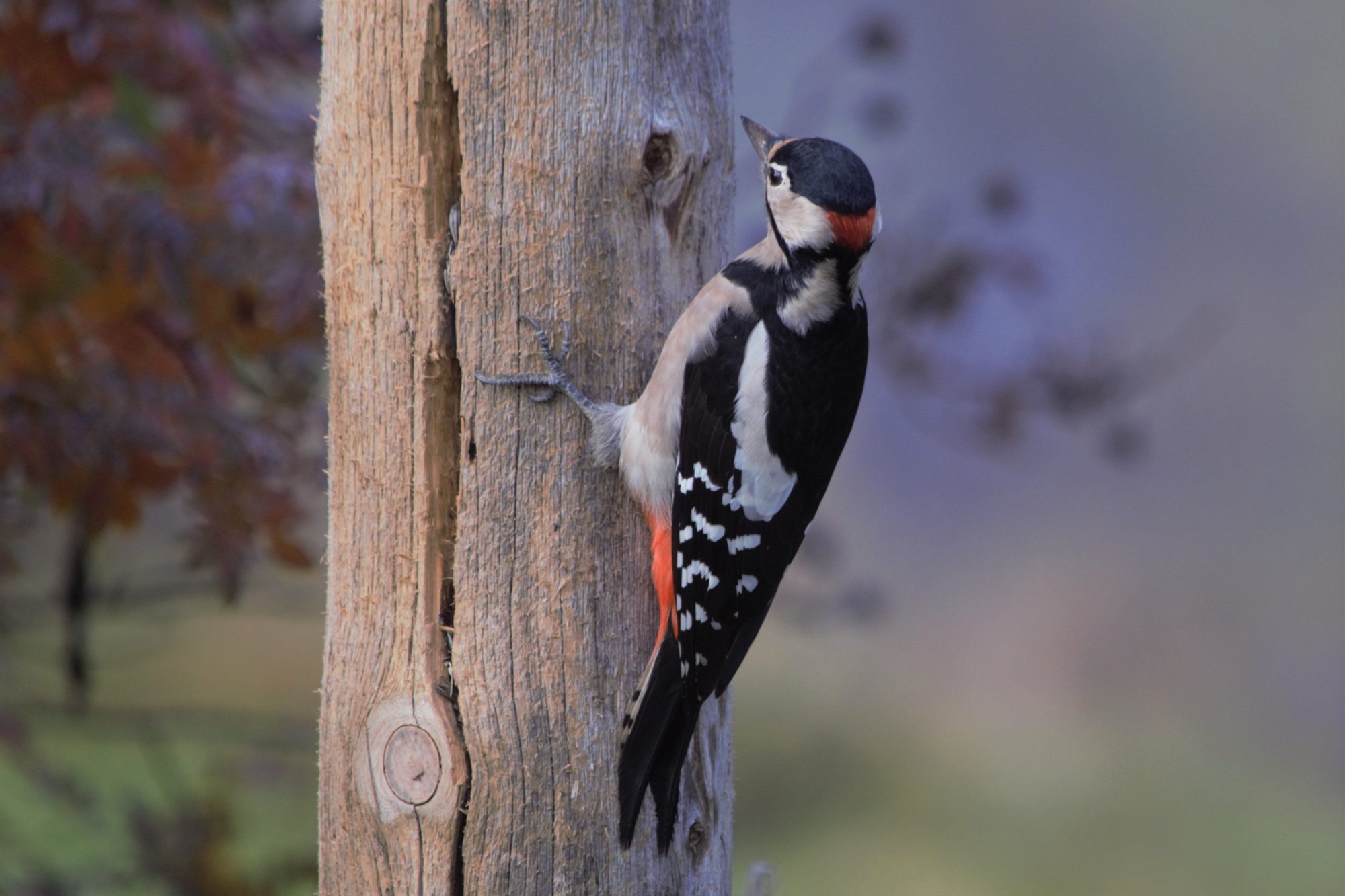 Valokuvaaja: Leena Rissanen