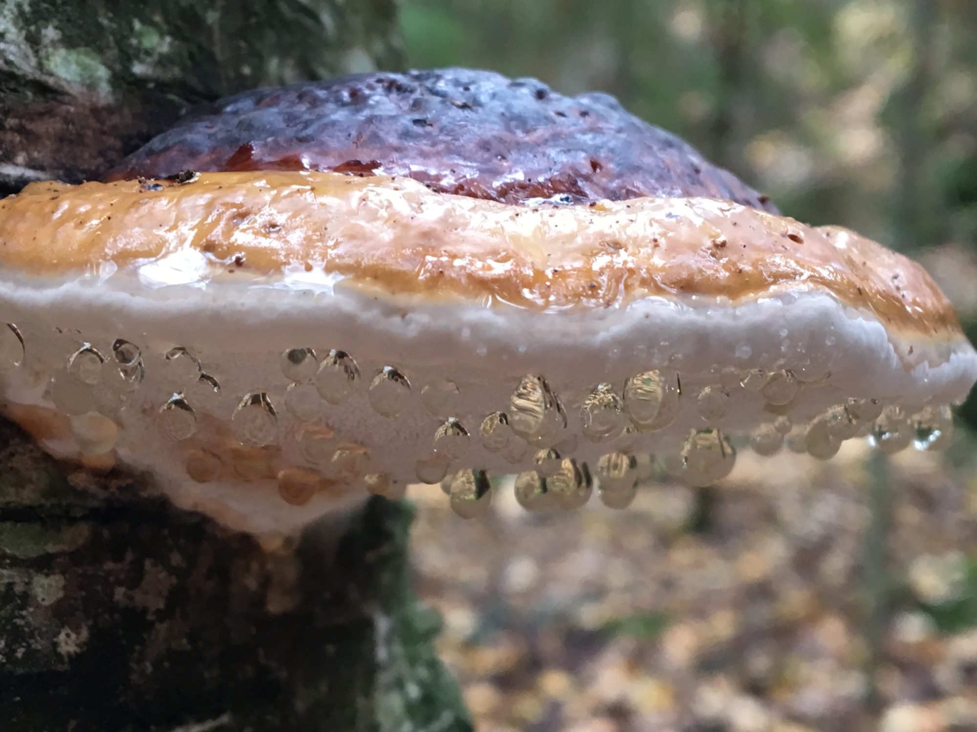 Valokuvaaja: Kirsi Nevalainen Valokuvaaja: Kirsi Nevalainen