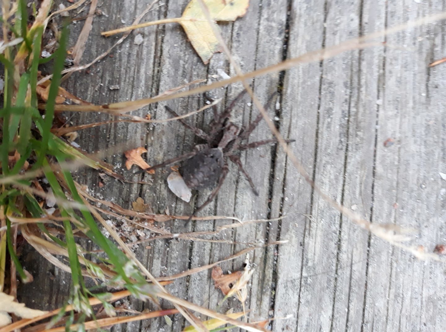 Valokuvaaja: Kirsi Taskinen