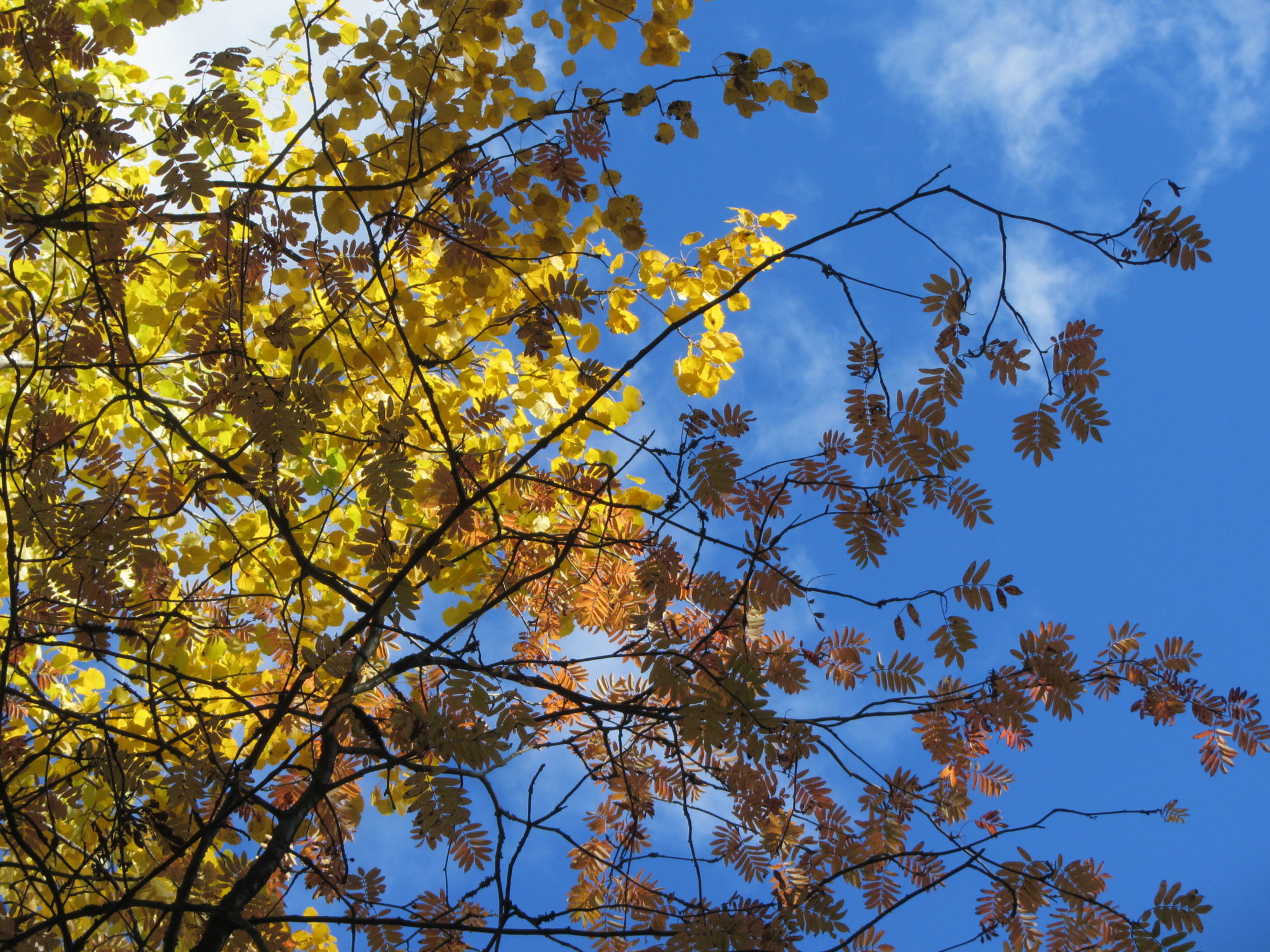 Valokuvaaja: Risto Kangassalo