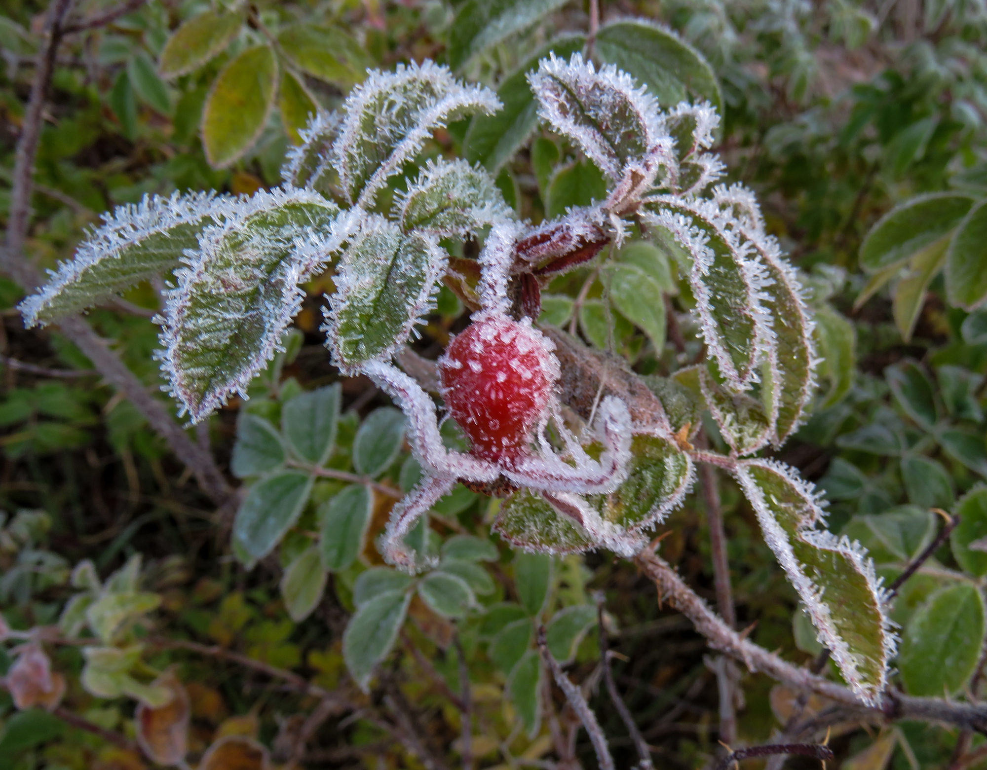 Valokuvaaja: Maija Savolainen