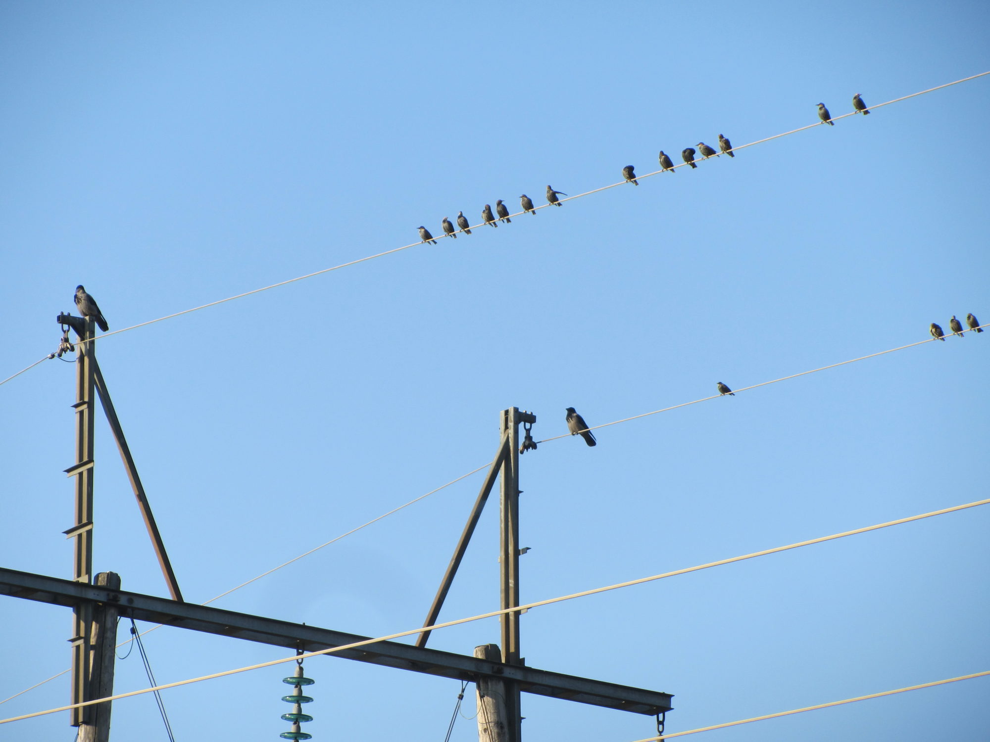 Valokuvaaja: Risto Kangassalo