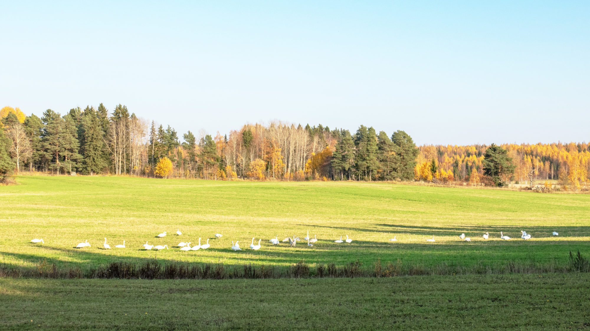 Valokuvaaja: Ari Tapaninen