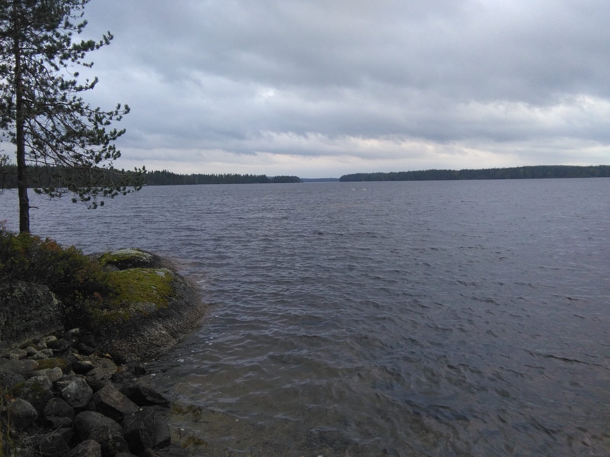 Valokuvaaja: Seija Mäntykivi