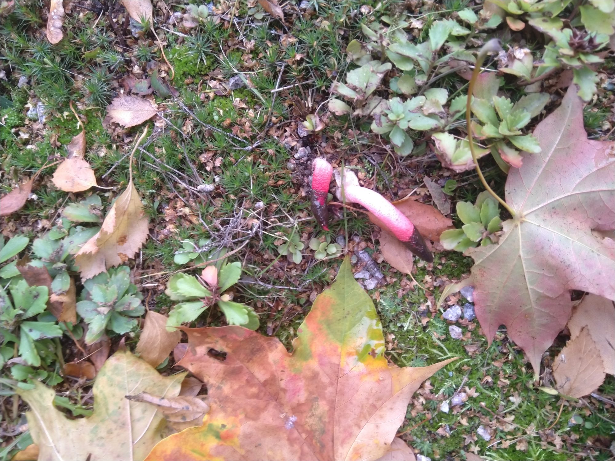 Valokuvaaja: Kaarina van Wensen