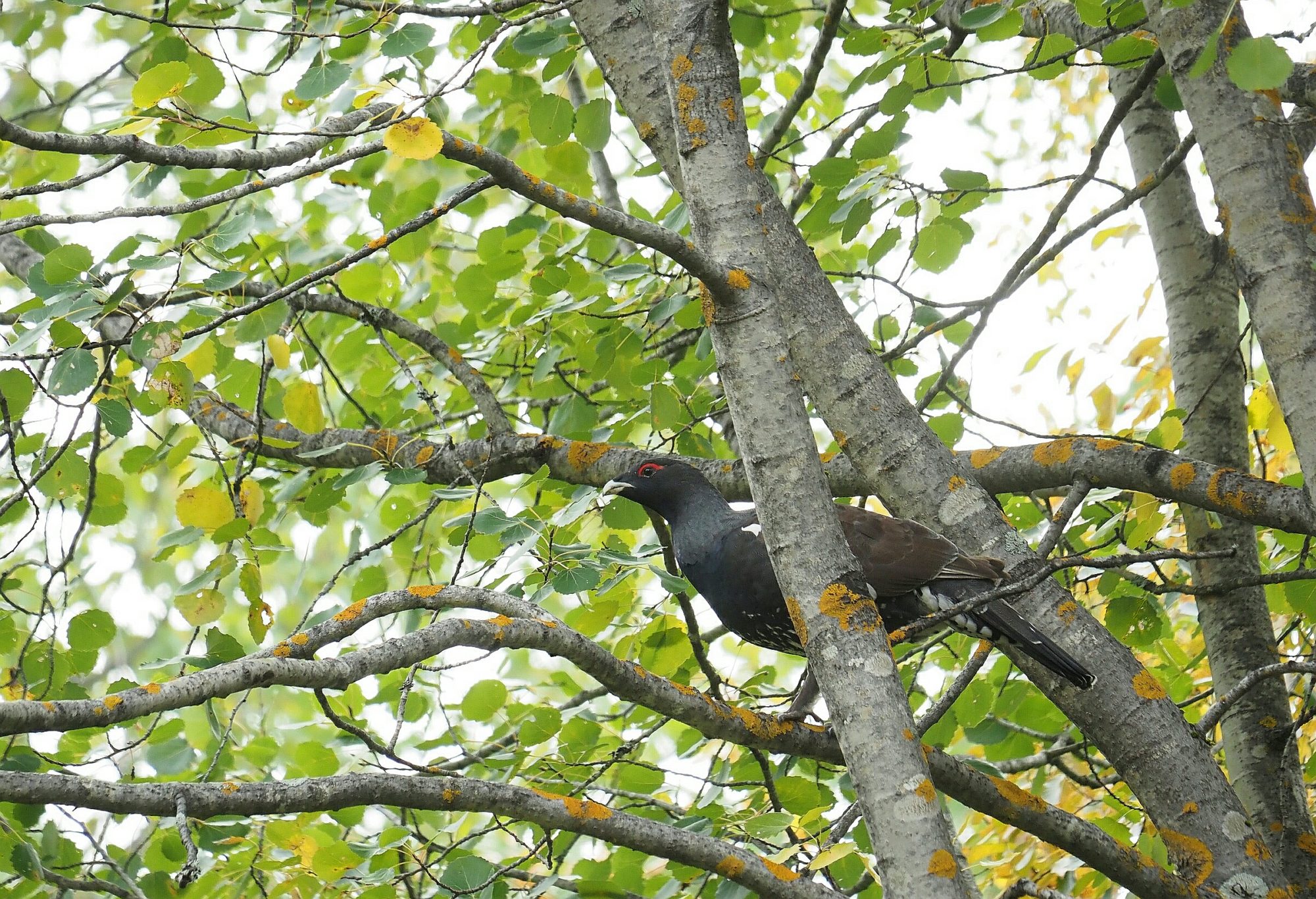 Valokuvaaja: Mikkola Irma Valokuvaaja: Mikkola Irma
