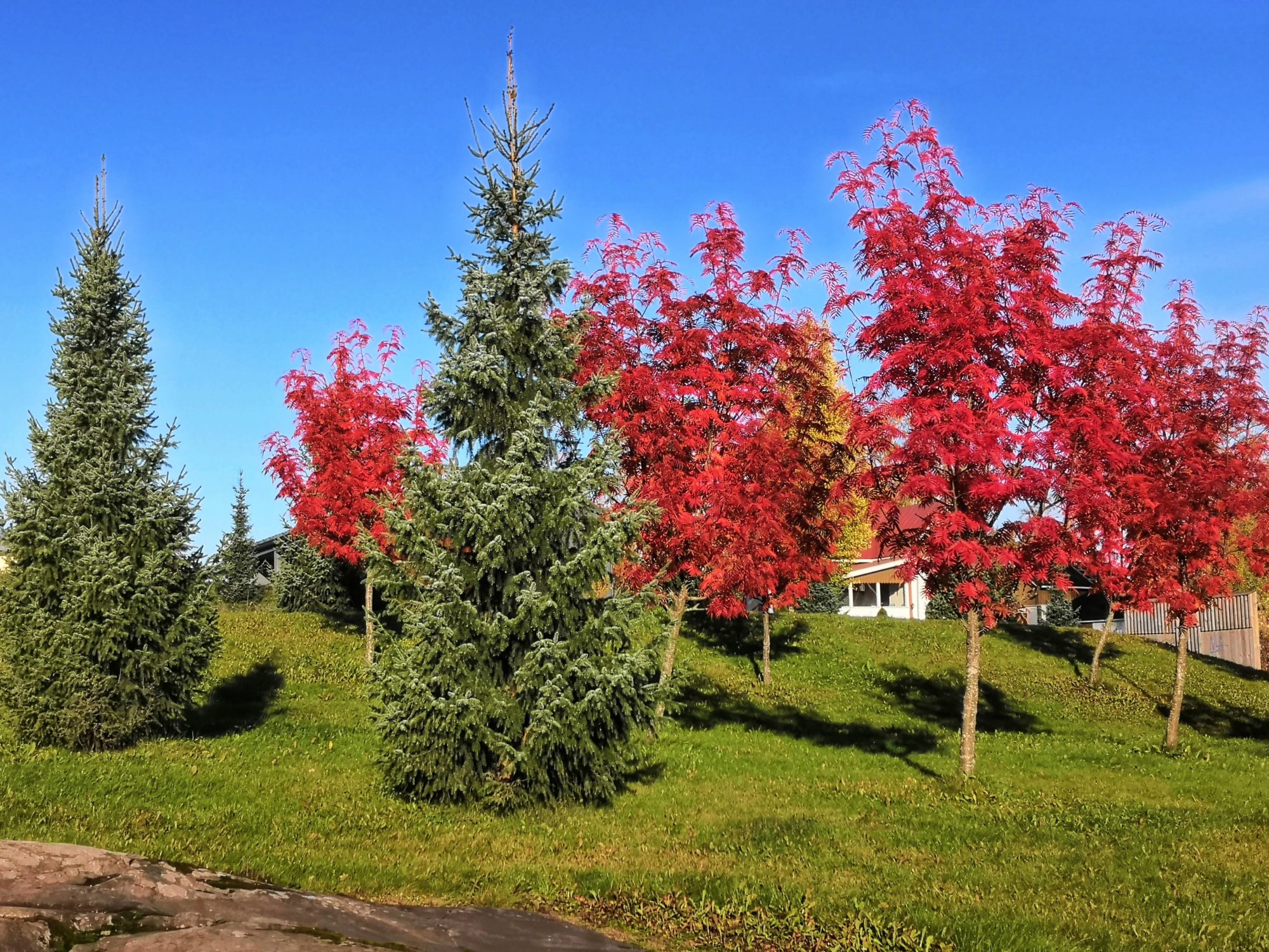 Valokuvaaja: Päivi Punta
