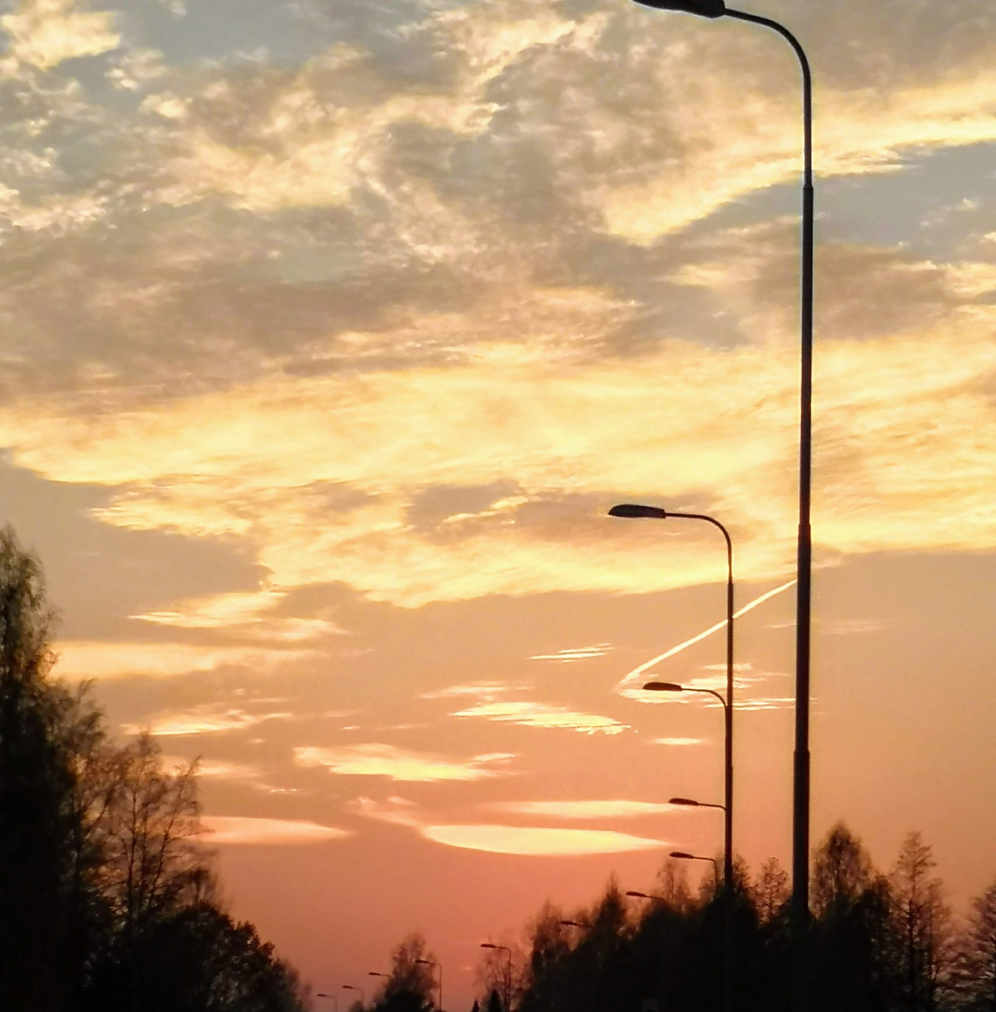 Valokuvaaja: Päivi Punta