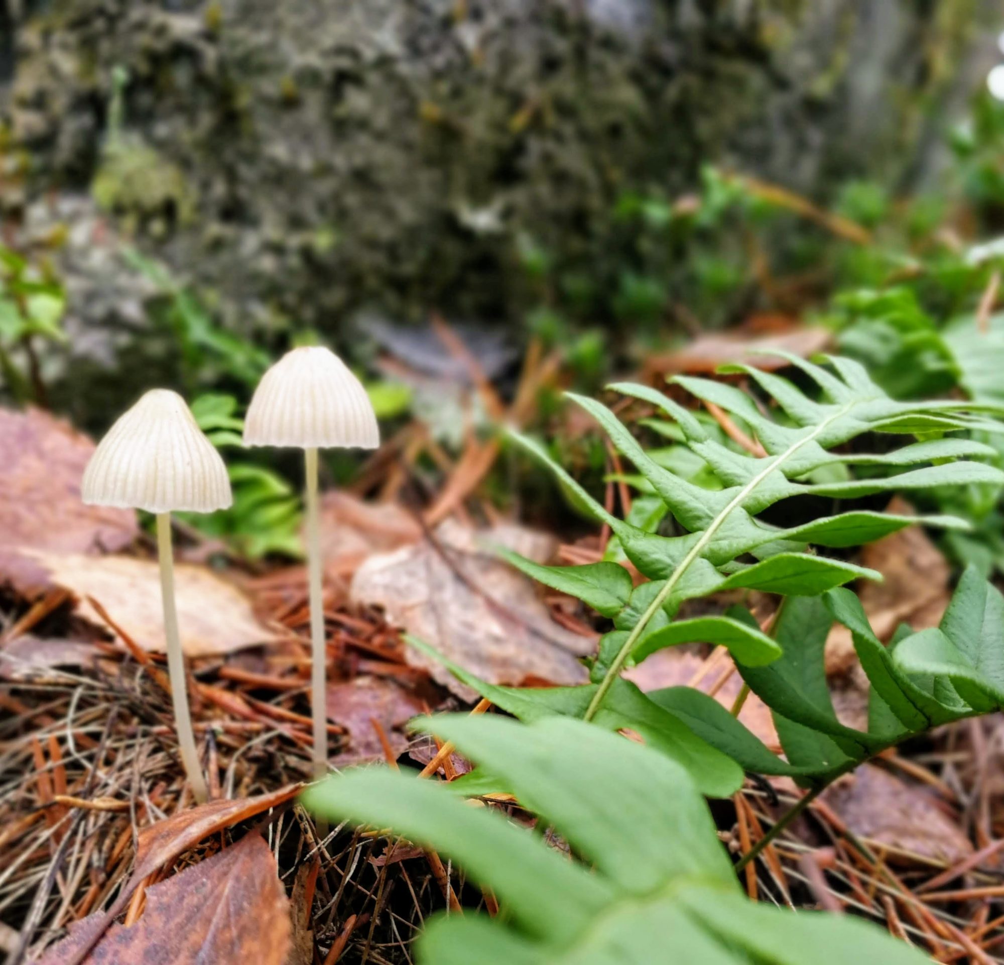 Valokuvaaja: Laura Eloniemi