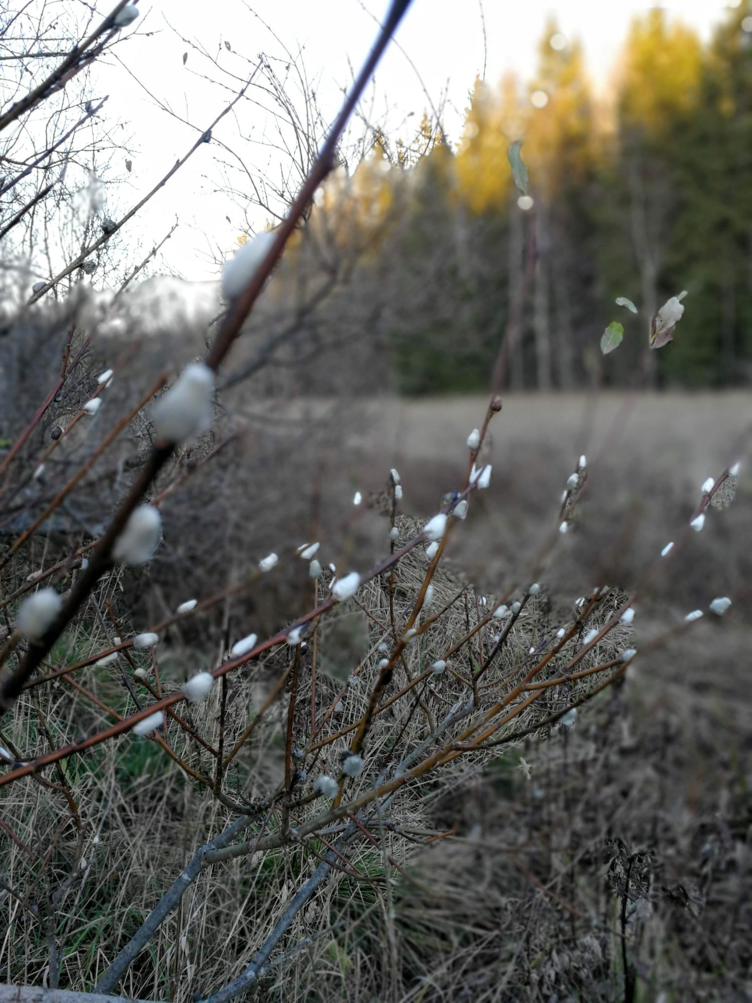 Valokuvaaja: Laura Eloniemi