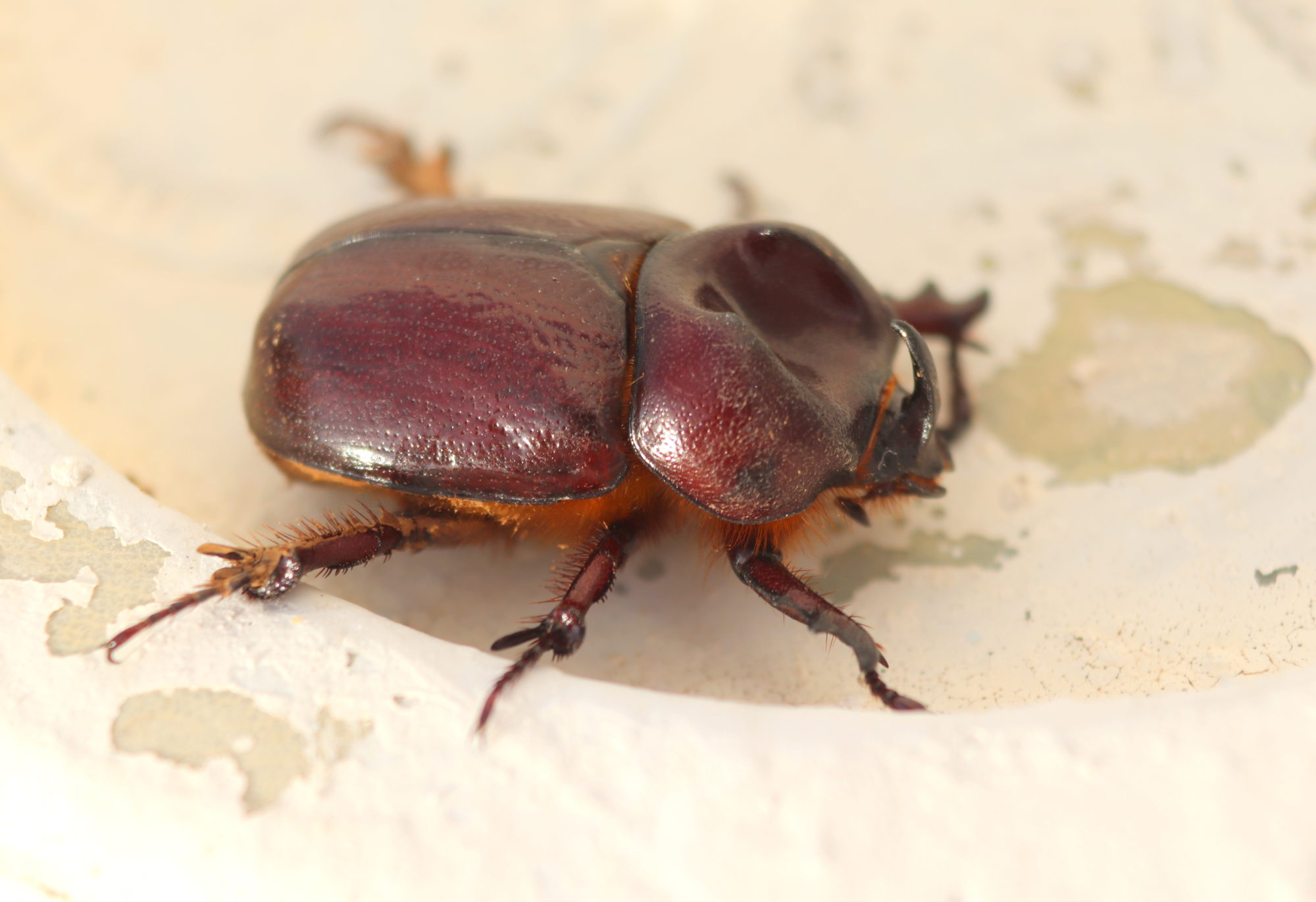 Valokuvaaja: Irja Lehtinen