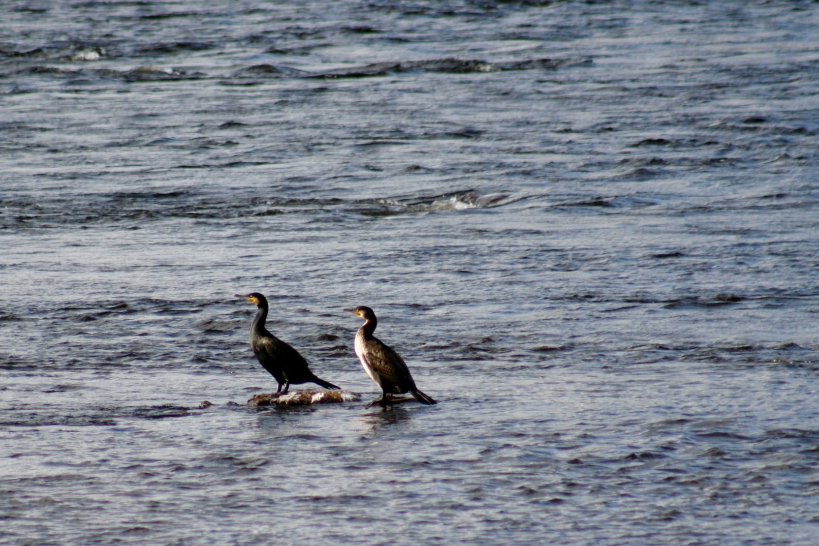 Valokuvaaja: Pirkko Siukonen
