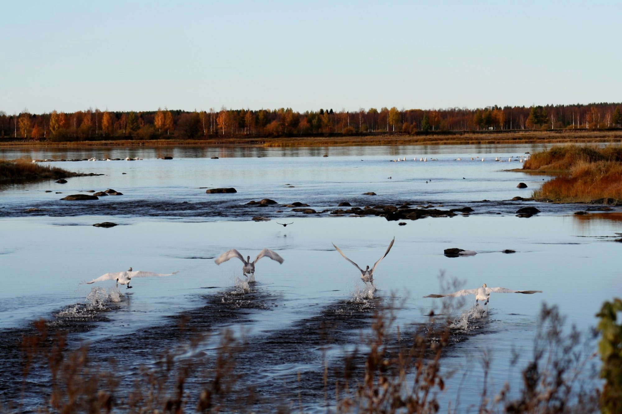 Valokuvaaja: Pirkko Siukonen