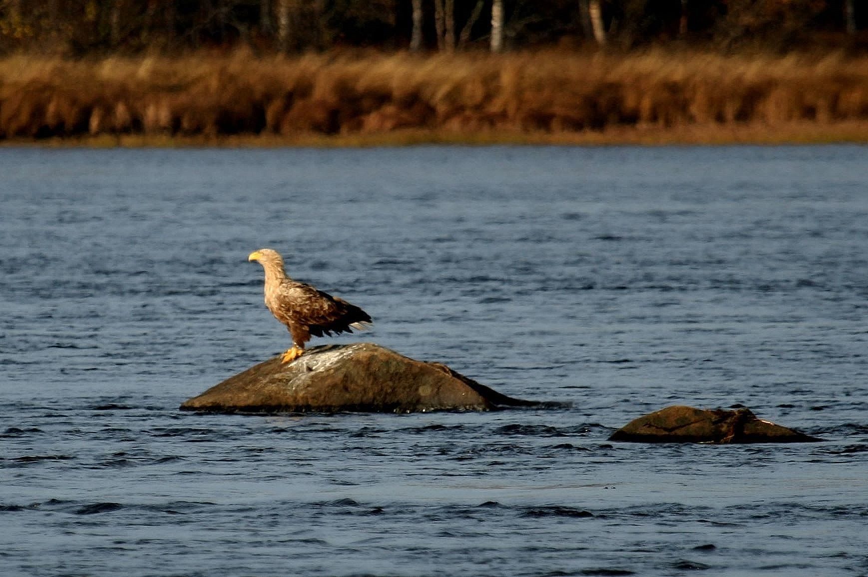 Valokuvaaja: Pirkko Siukonen