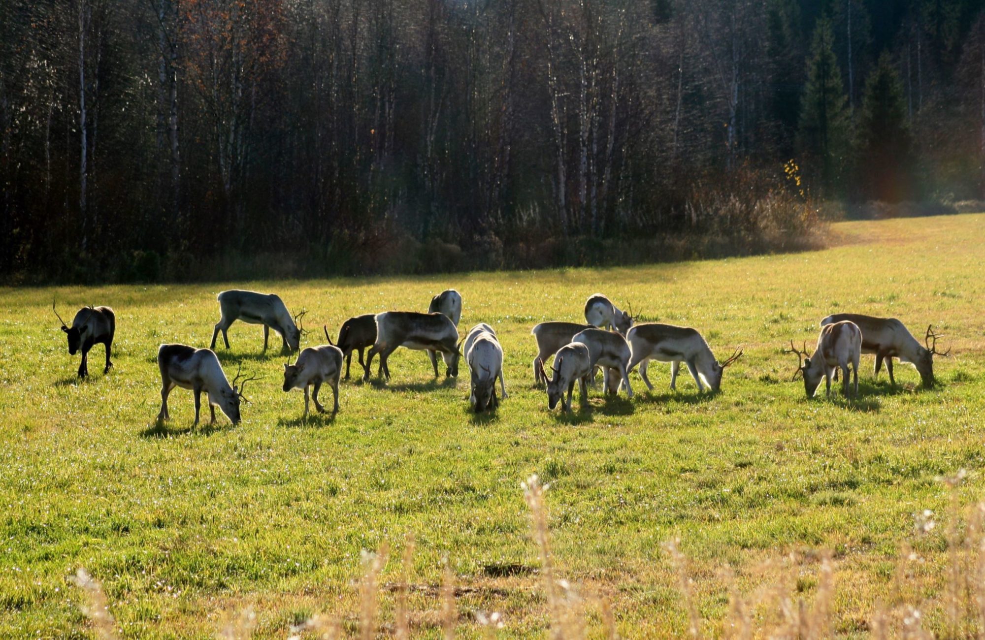 Valokuvaaja: Pirkko Siukonen