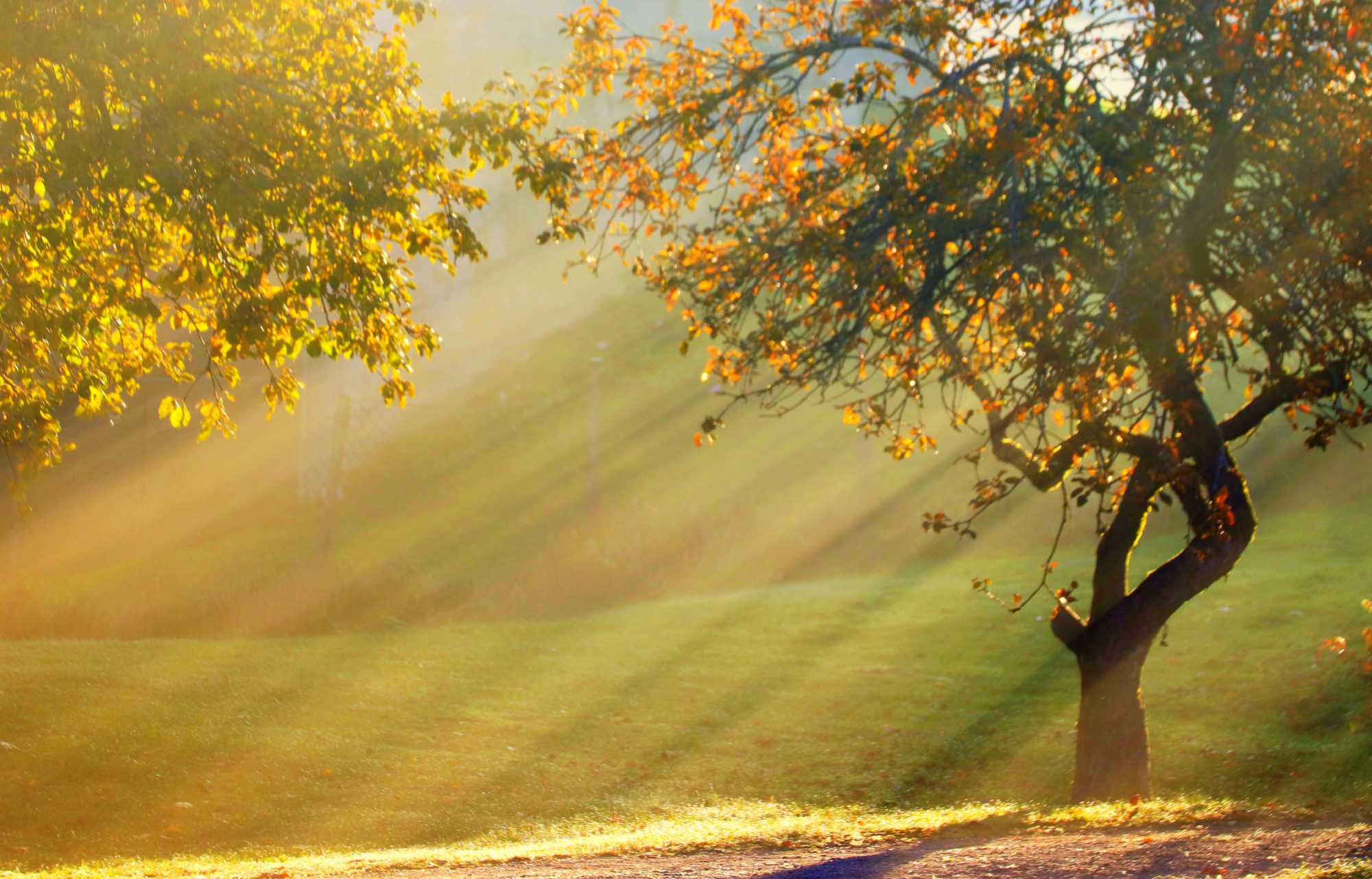 Valokuvaaja: Irja Lehtinen