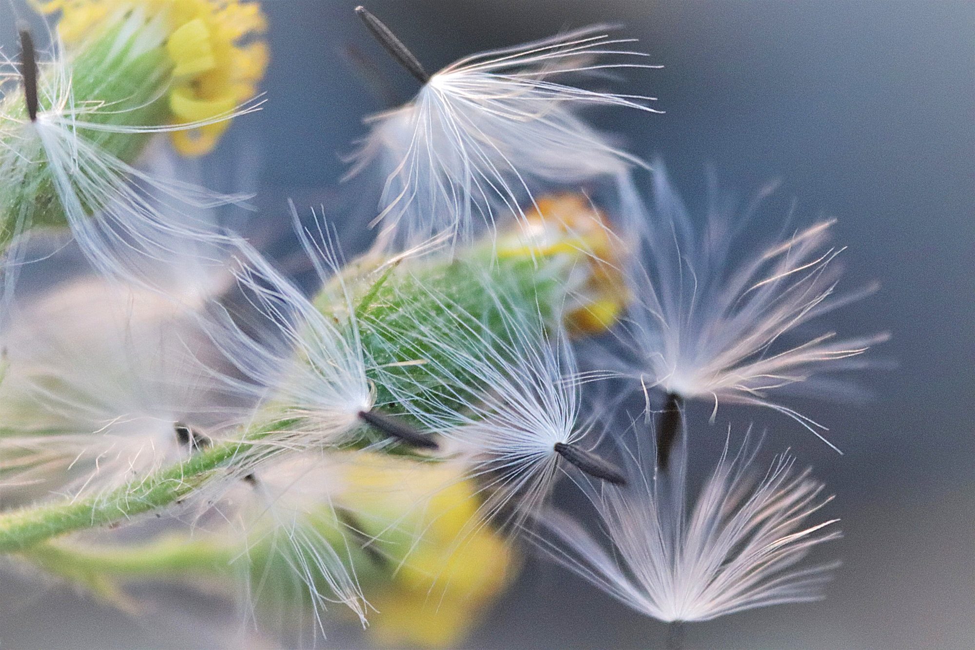 Valokuvaaja: Irja Lehtinen