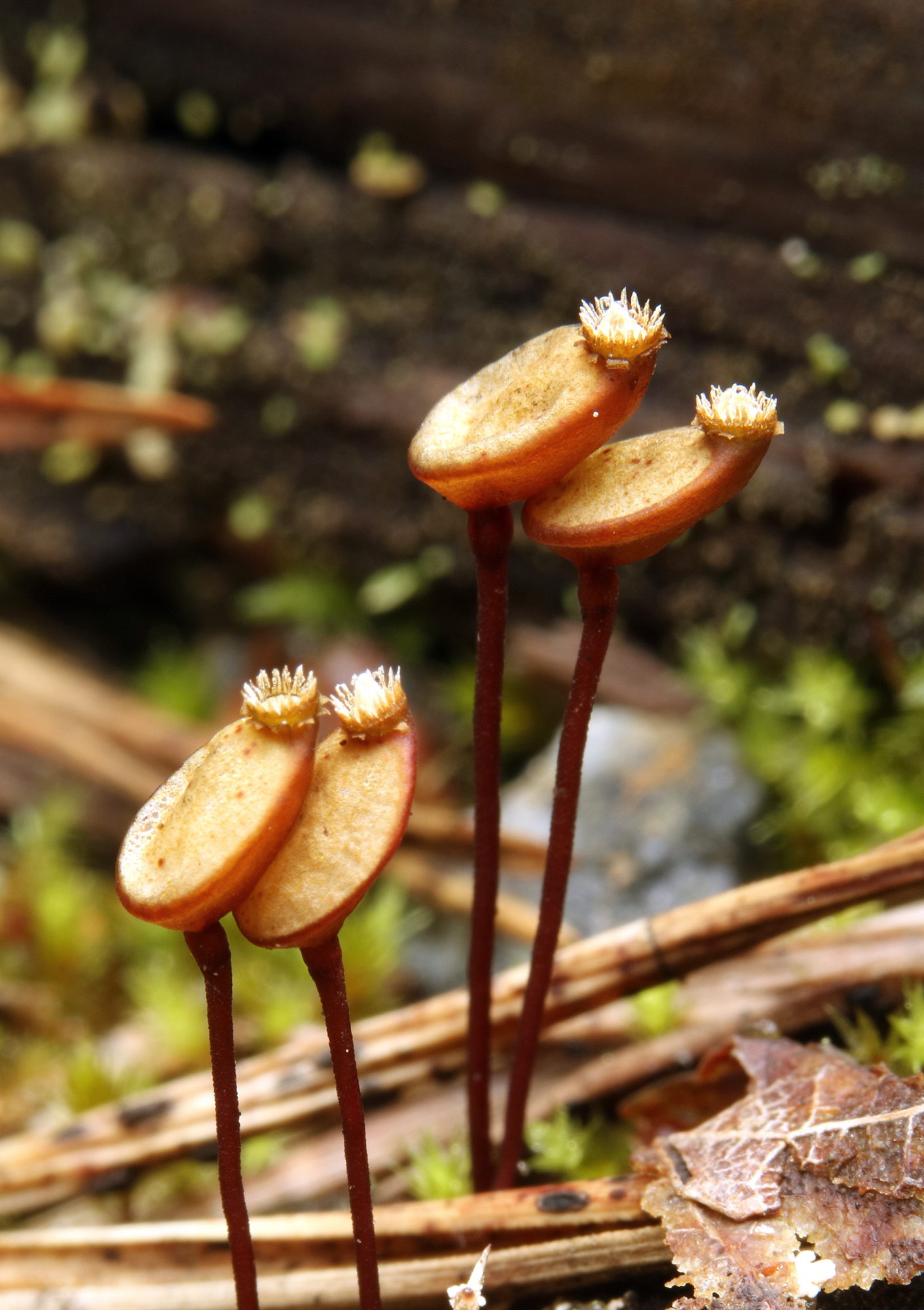 Valokuvaaja: hannu Rasiranta