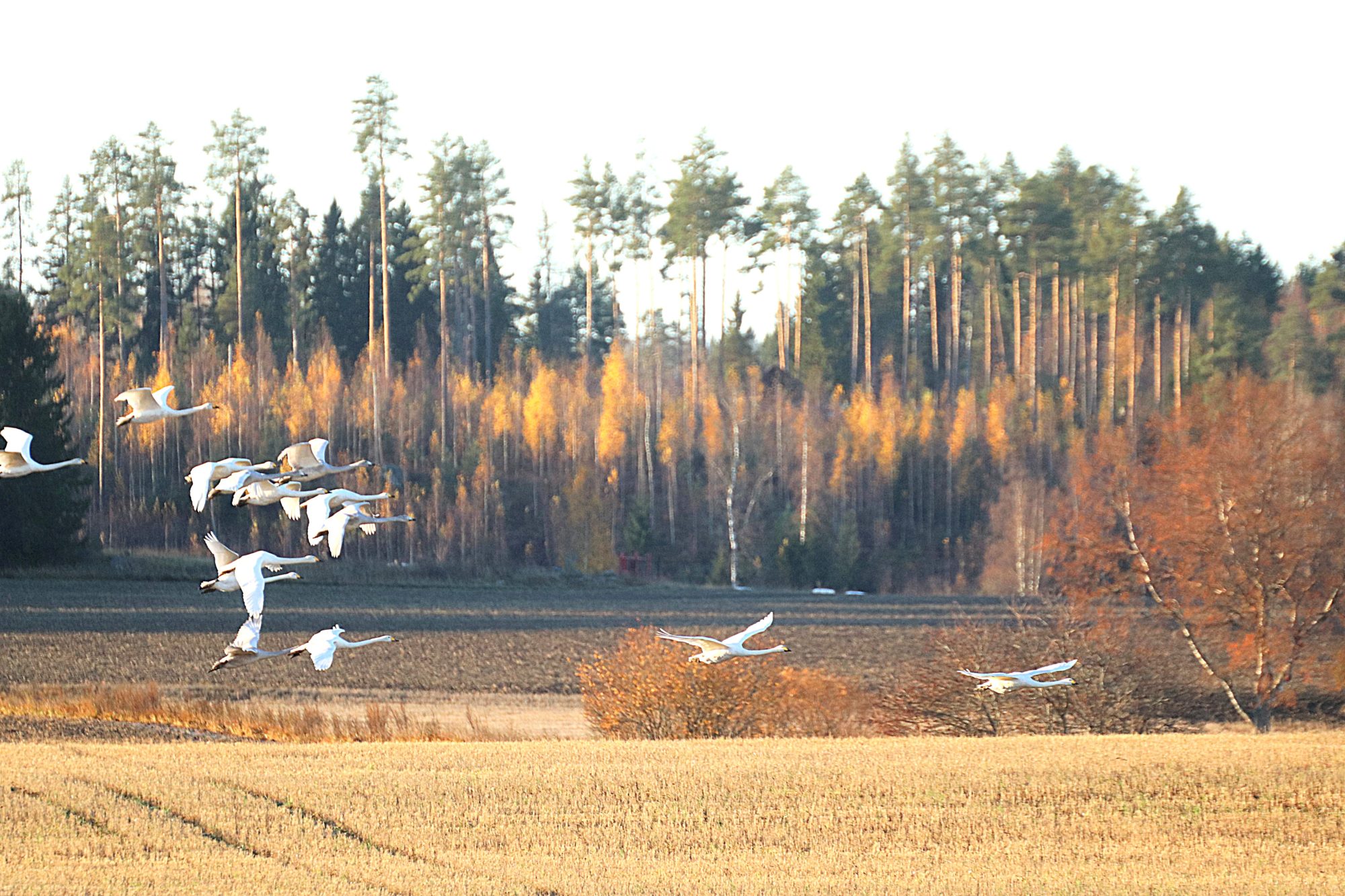Valokuvaaja: Irja Lehtinen