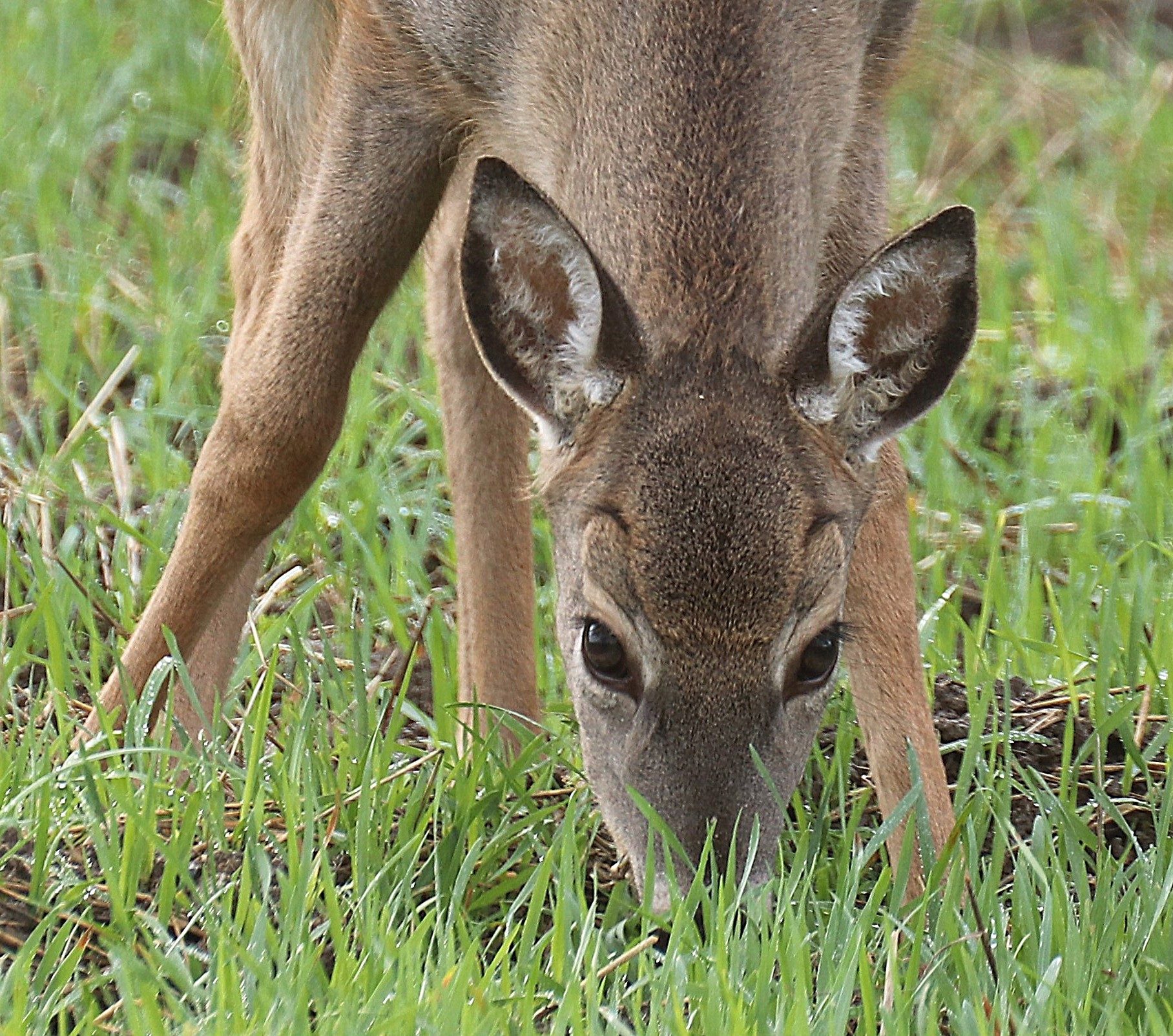Valokuvaaja: Irja Lehtinen