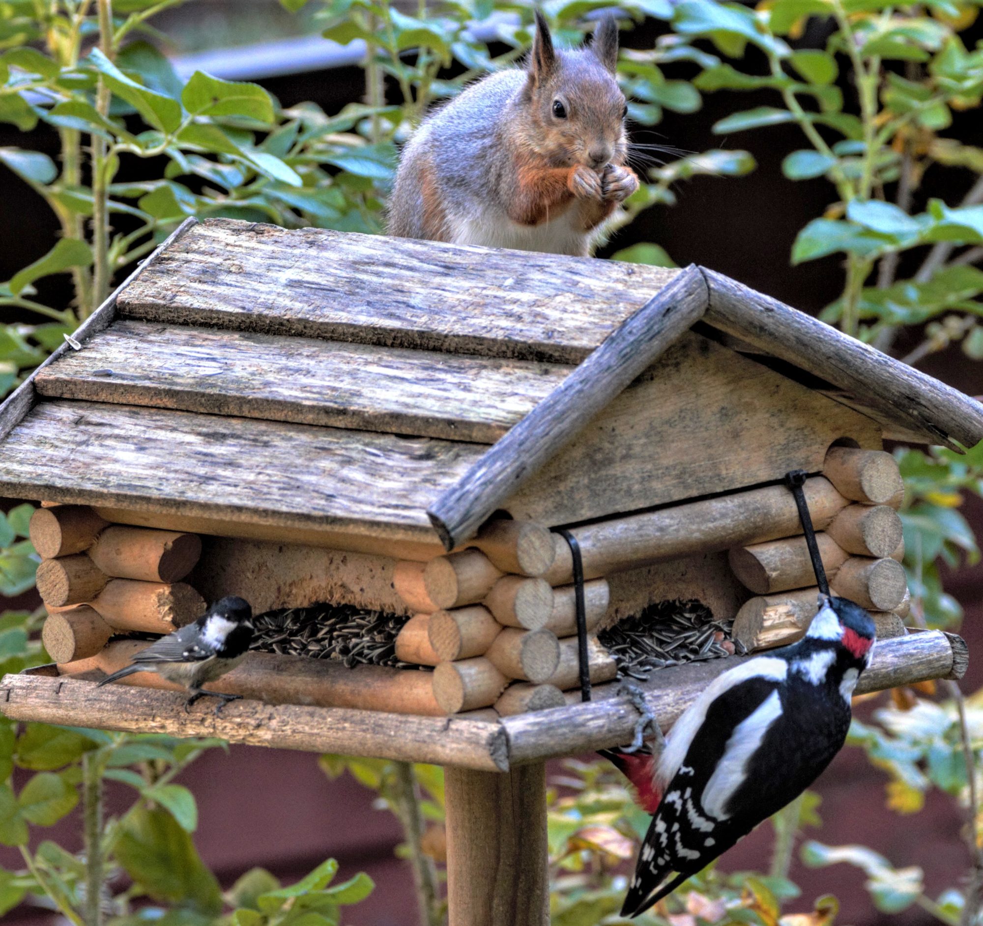 Valokuvaaja: Päivi Punta