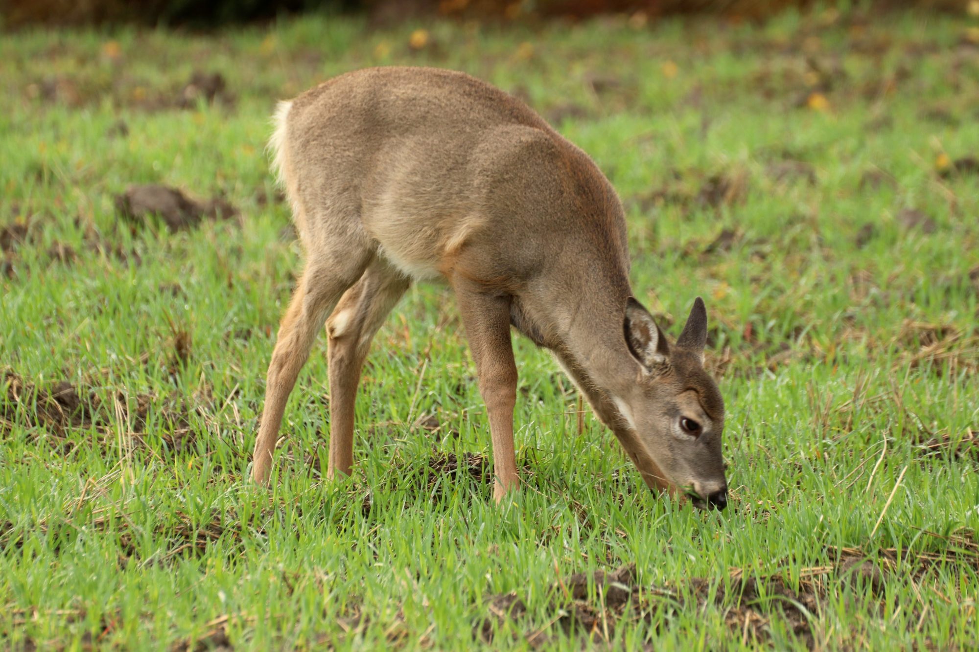 Valokuvaaja: Irja Lehtinen