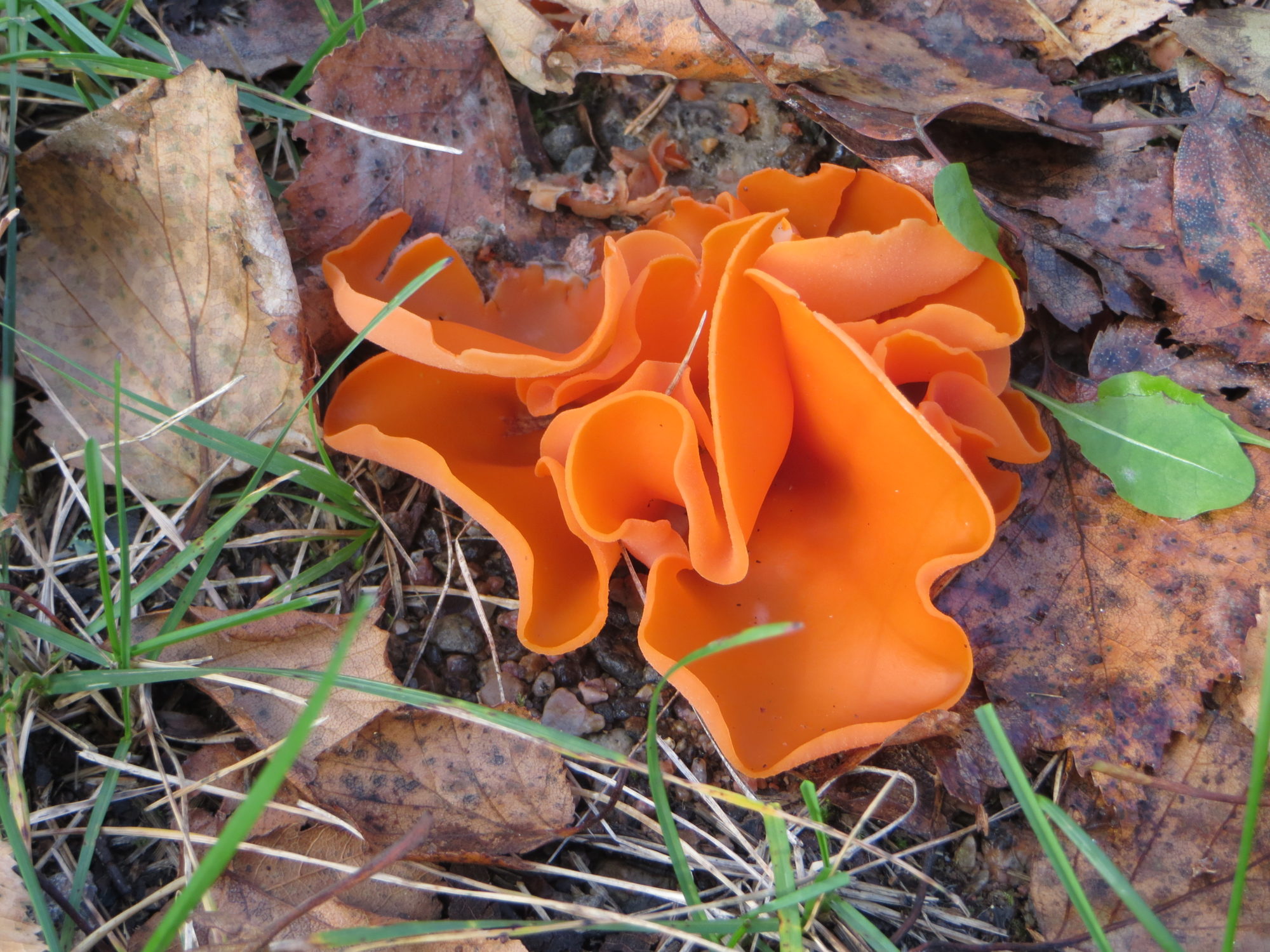 Valokuvaaja: Tiina Laihanen